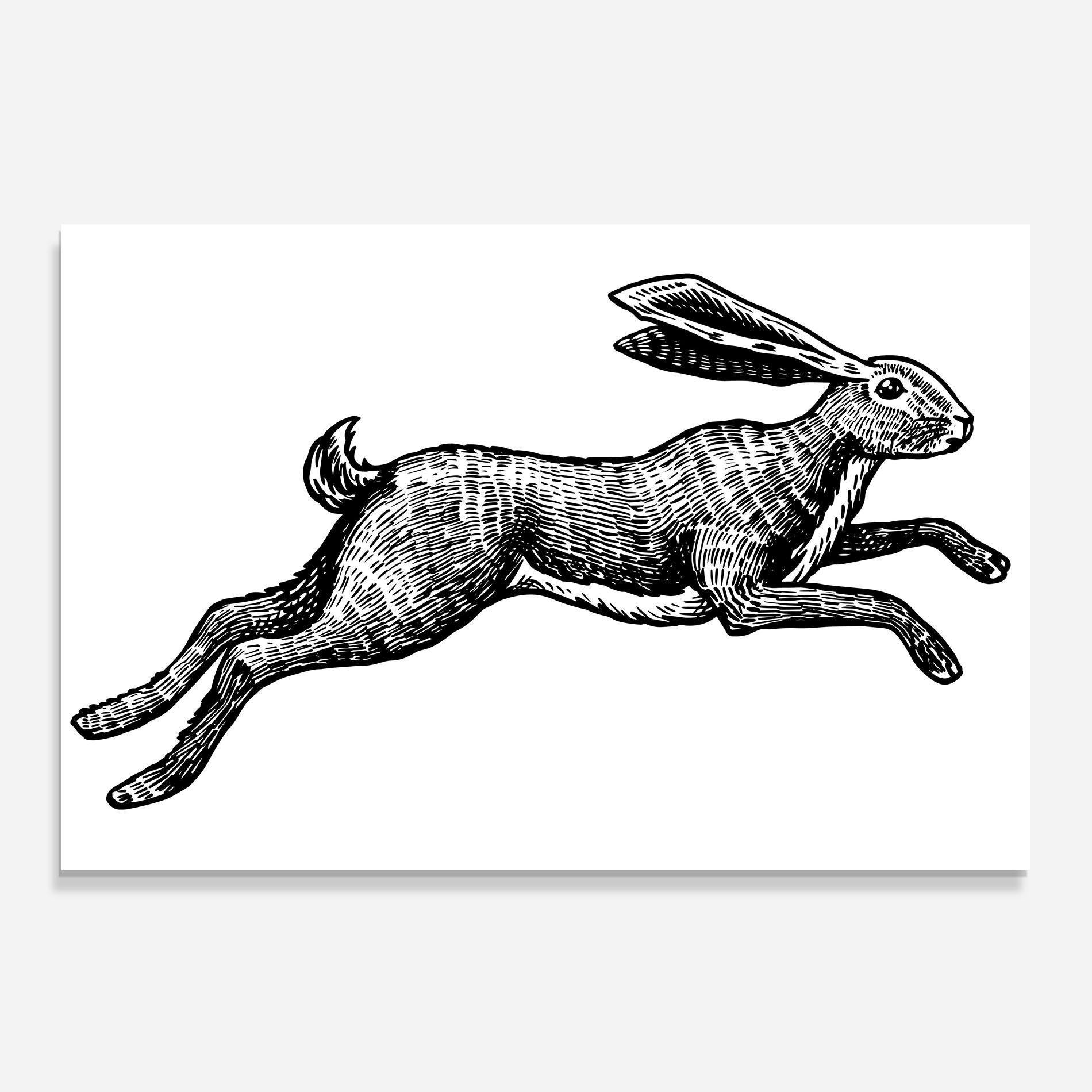 Küchenrückwand Glas Black Line Bunny mockup 0