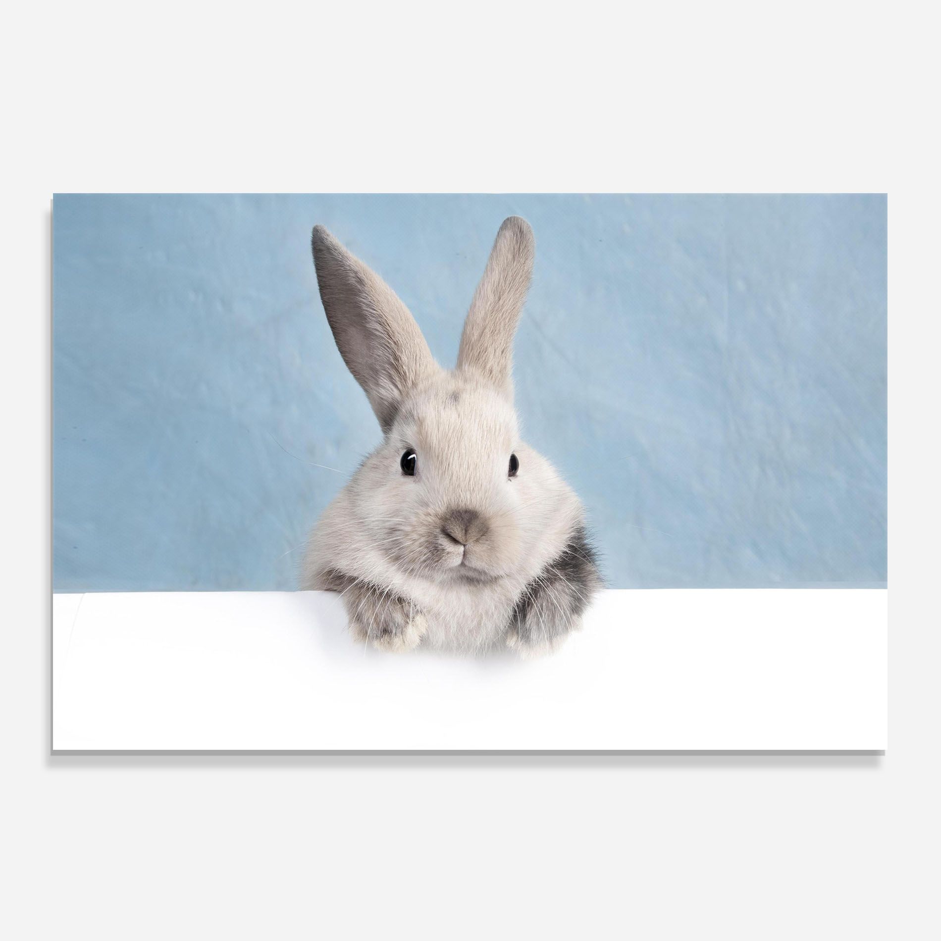 Cream Bunny mockup 0