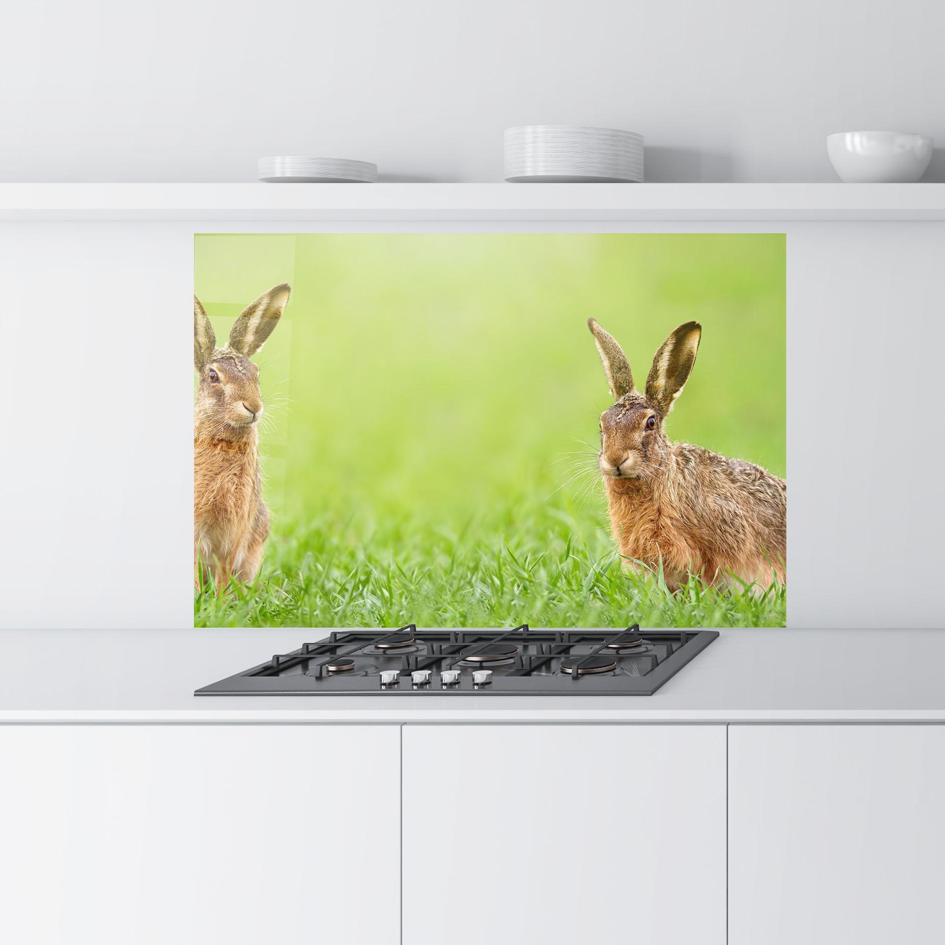 Küchenrückwand Glas Brown Hares mockup 9