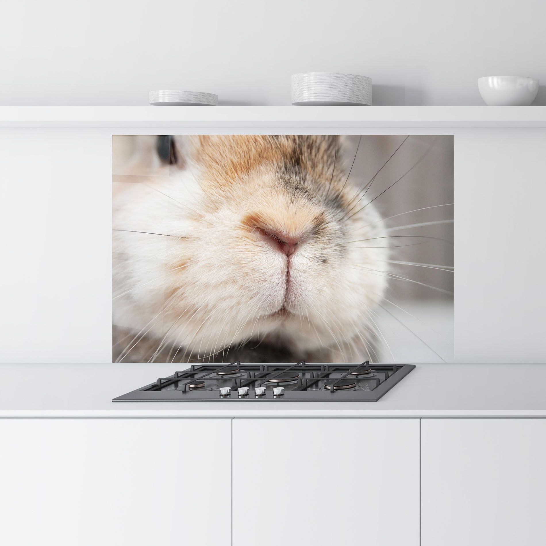 Close Up Bunny mockup 9