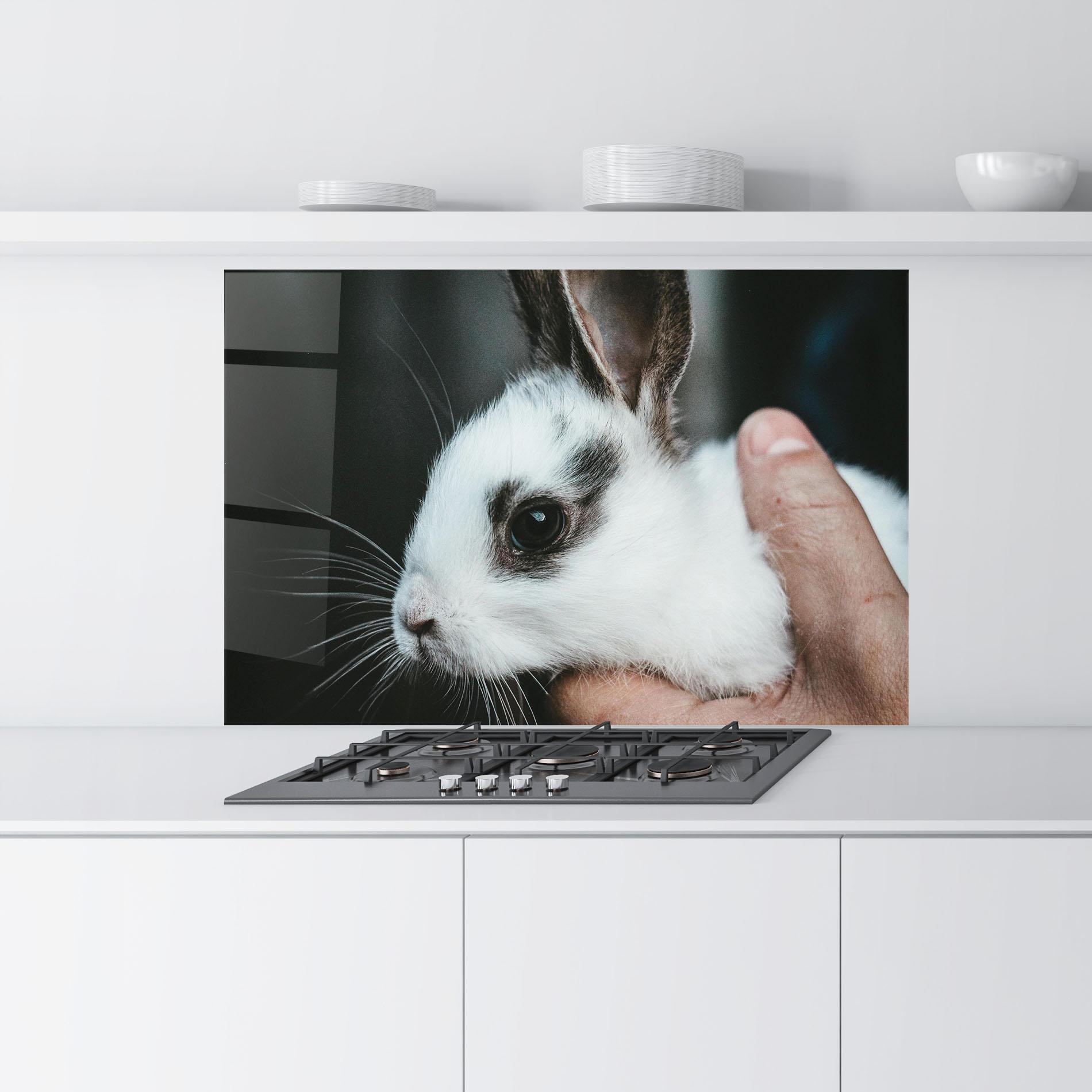 Küchenrückwand Glas Holding Cute Bunny mockup 9