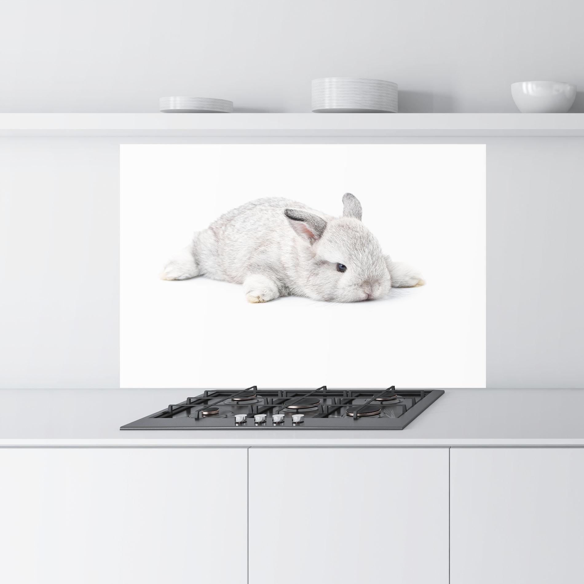 Küchenrückwand Glas Light Gray Bunny Sleeping mockup 9