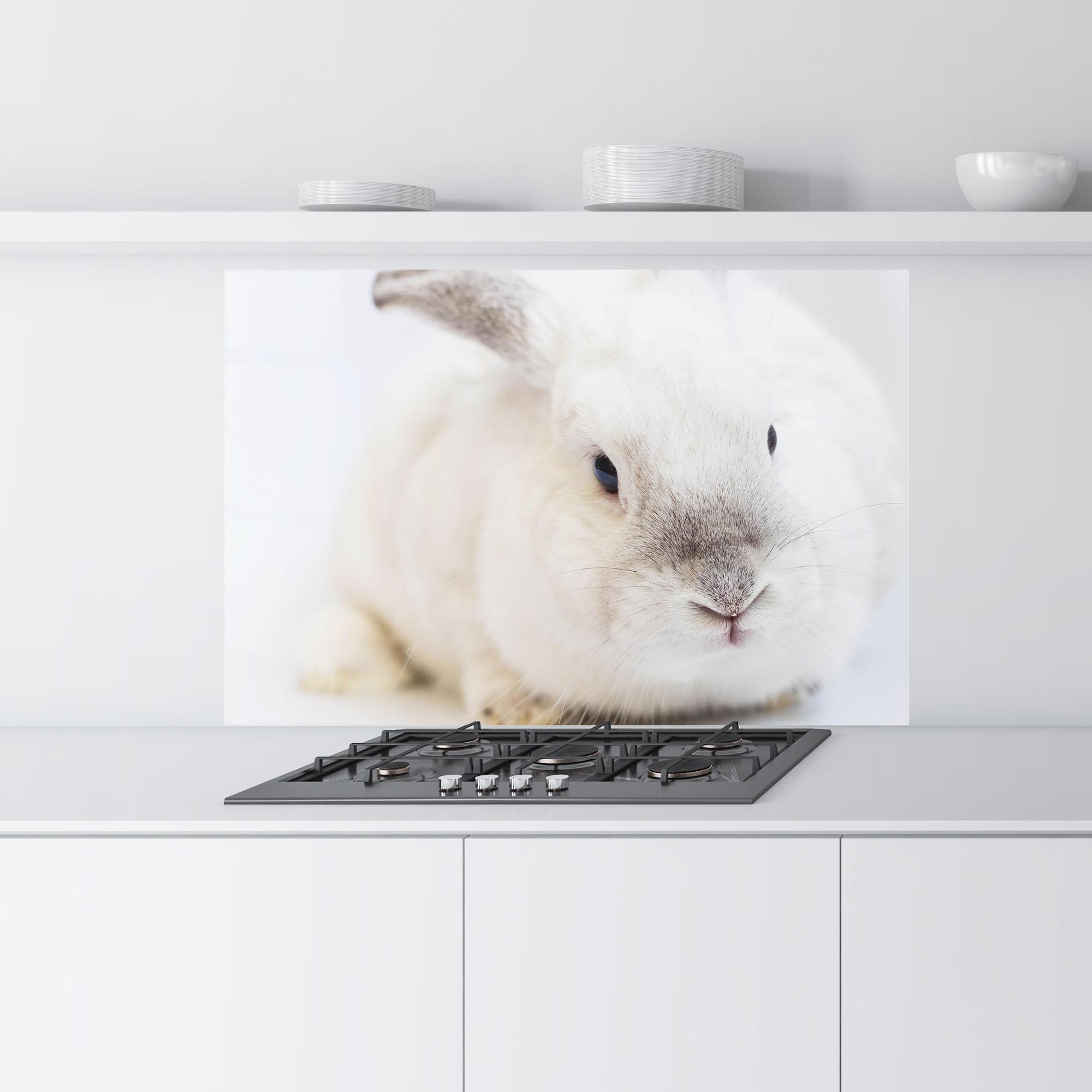 Küchenrückwand Glas Light Grey Bunny mockup 9