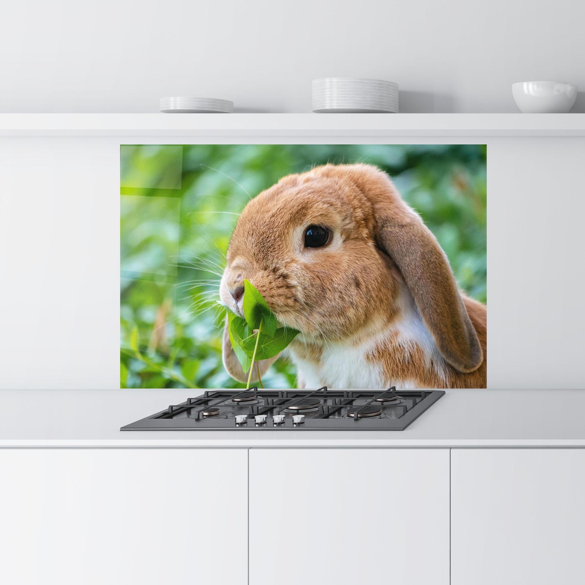 Küchenrückwand Glas Orange Bunny Eating mockup 9