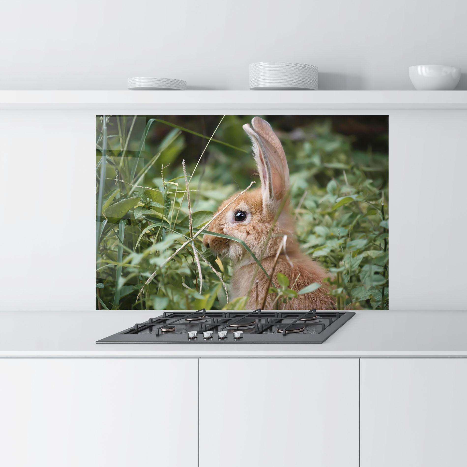 Küchenrückwand Glas Orange Bunny Hunting mockup 9
