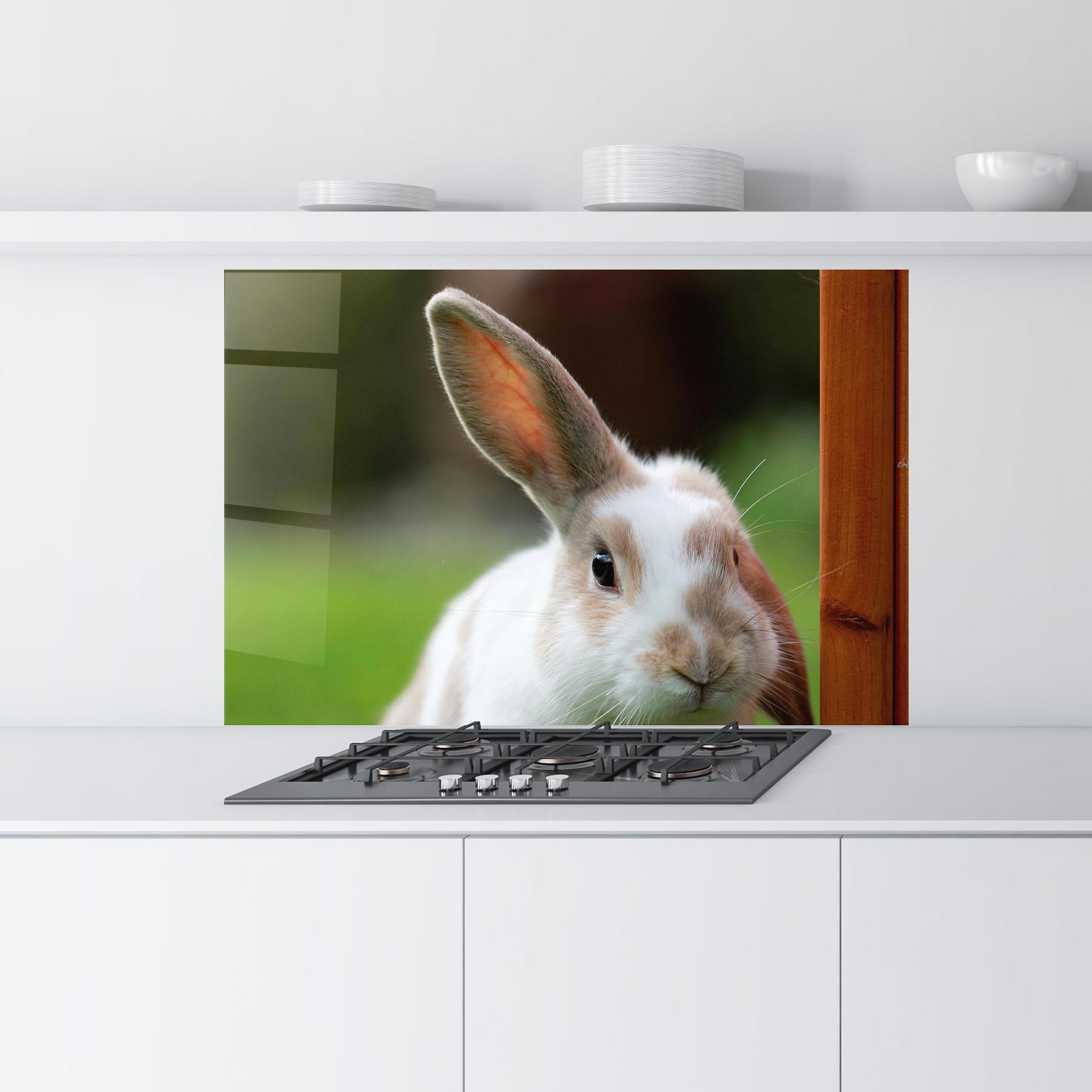 Küchenrückwand Glas Up Ear Bunny mockup 9