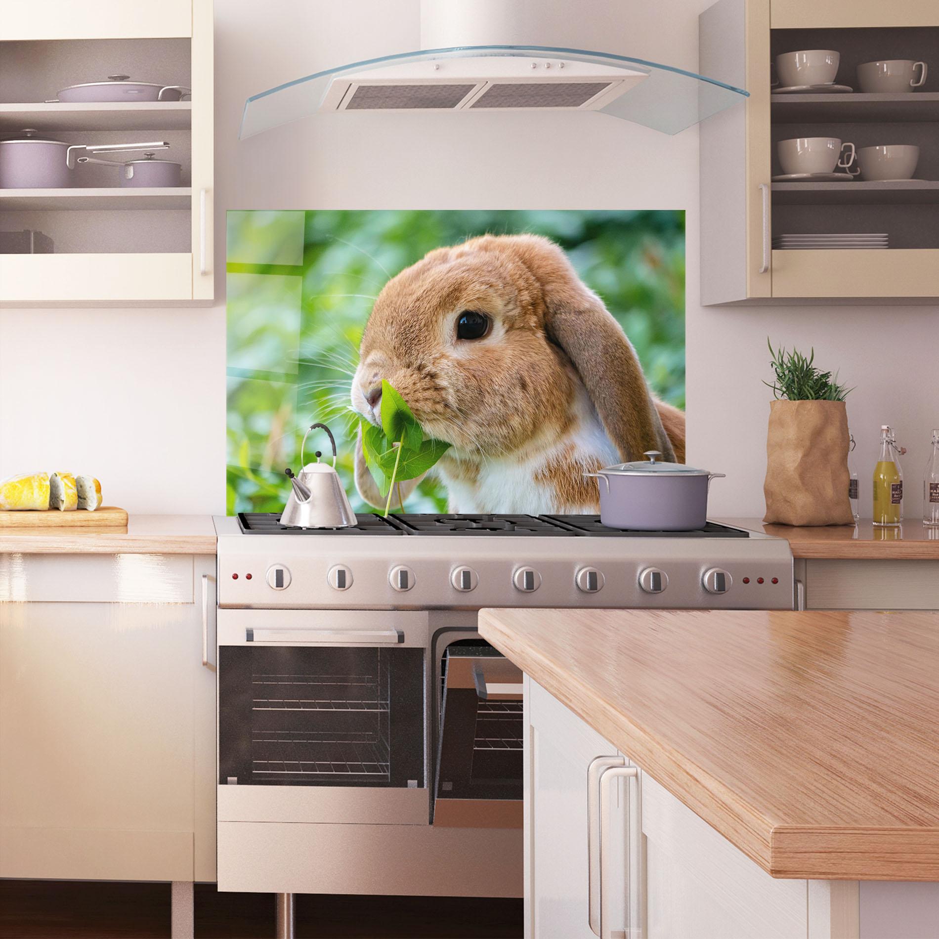 Küchenrückwand Glas Orange Bunny Eating mockup 1
