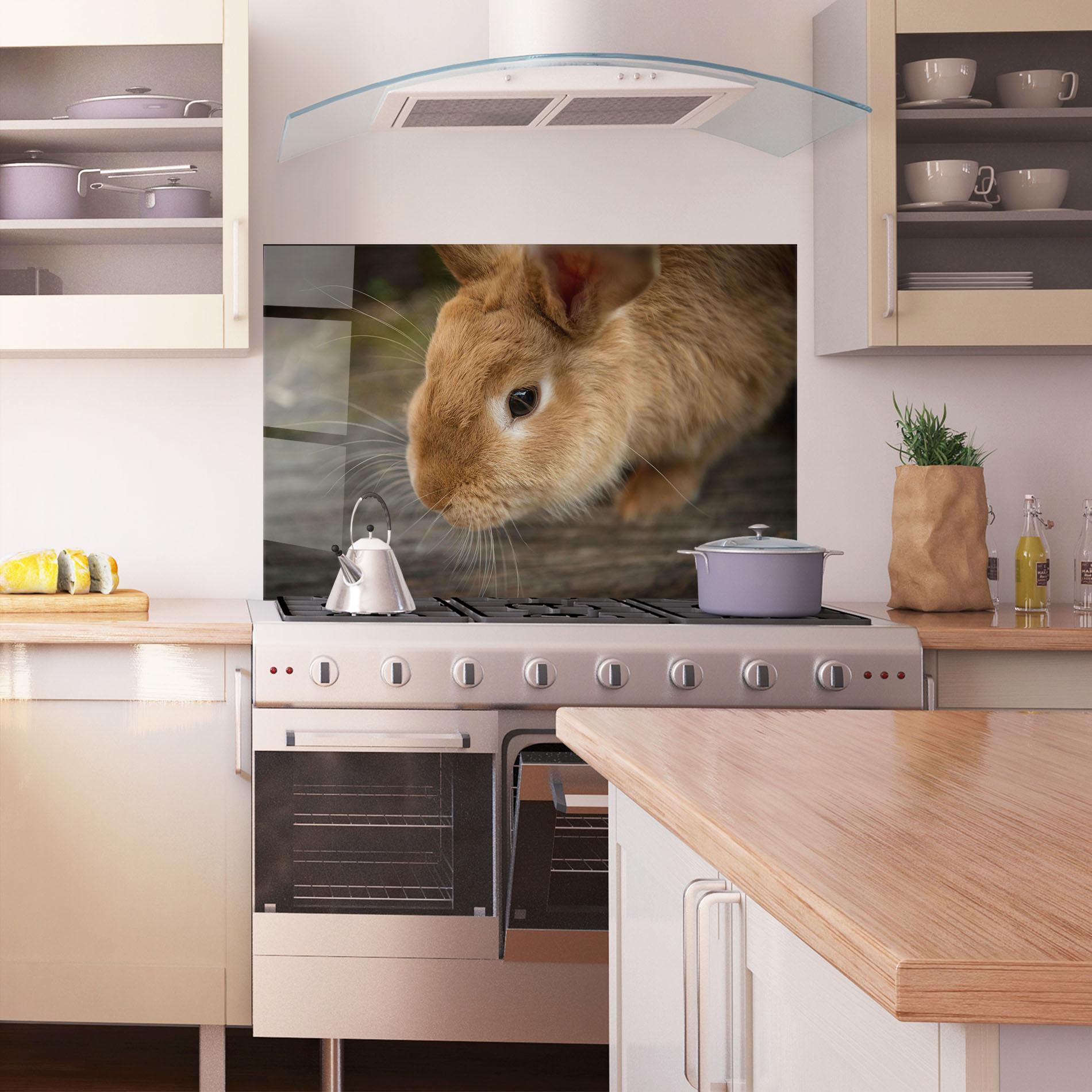Küchenrückwand Glas Orange Bunny Looking mockup 1