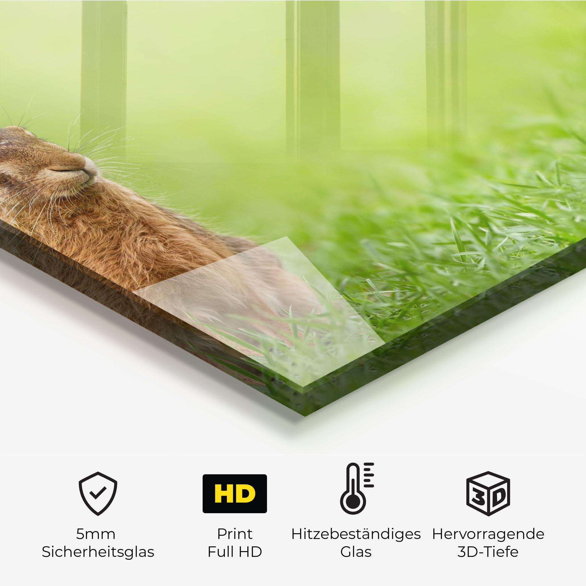 Küchenrückwand Glas Brown Hares mockup 2