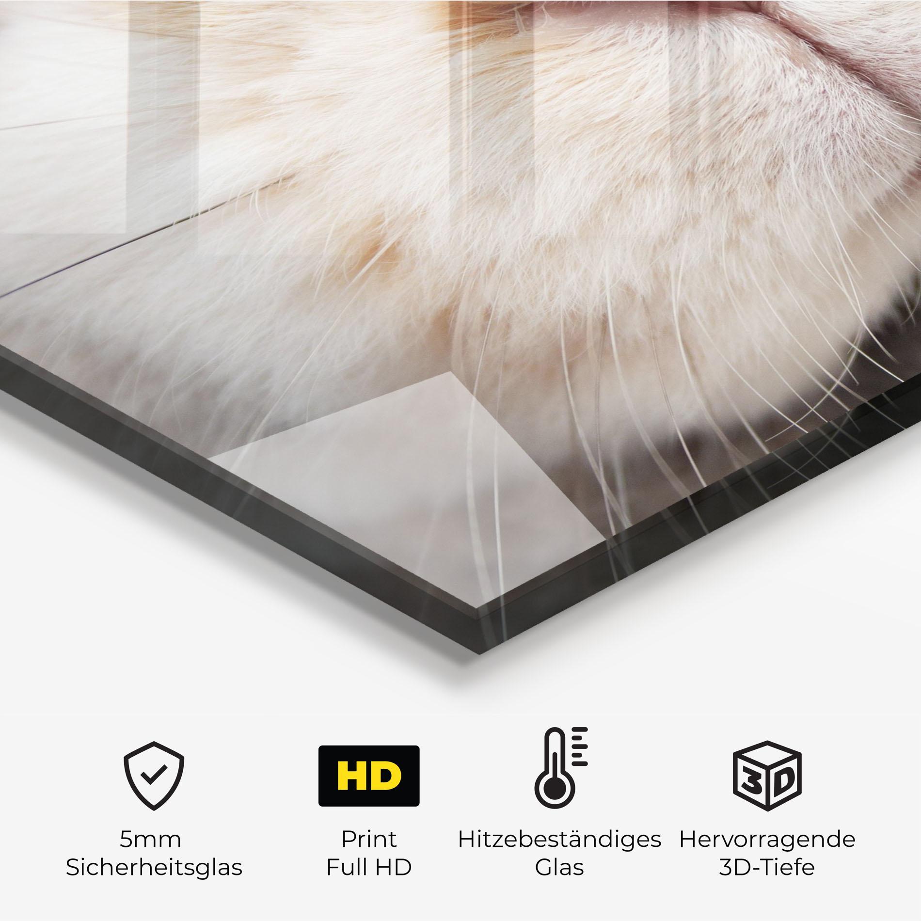 Küchenrückwand Glas Close Up Bunny mockup 2