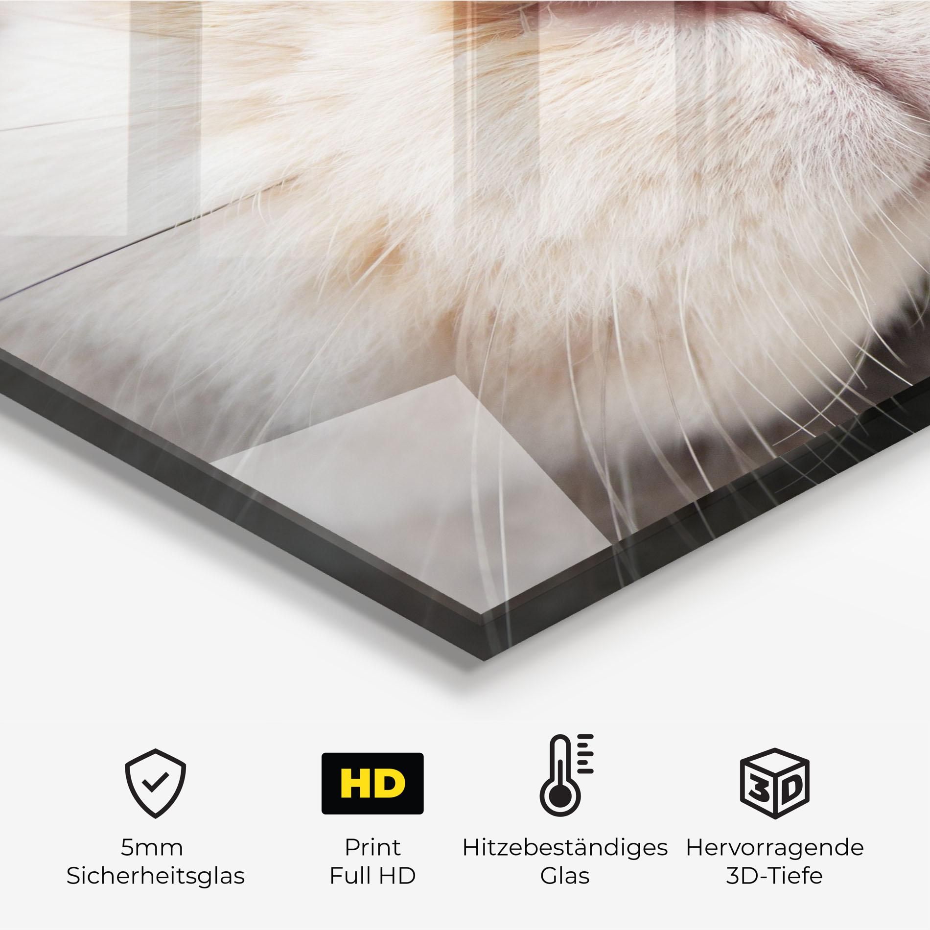 Close Up Bunny mockup 2