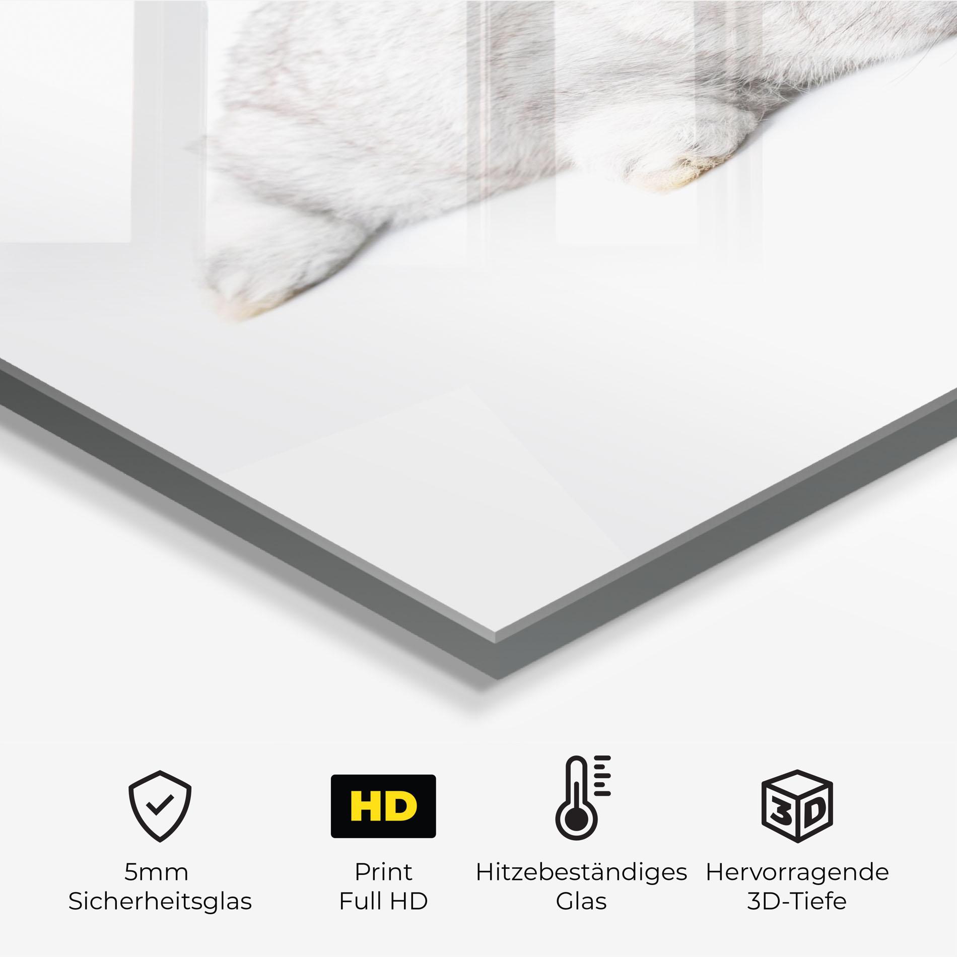 Küchenrückwand Glas Light Gray Bunny Sleeping mockup 2