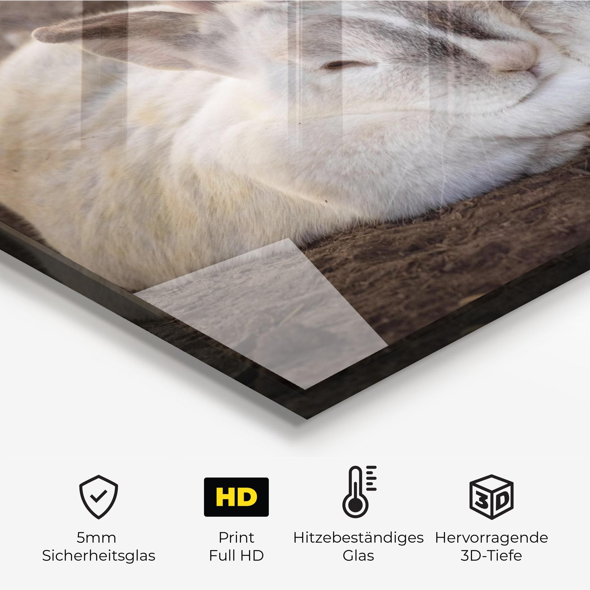 Light Grey Bunny Sleeping mockup 2