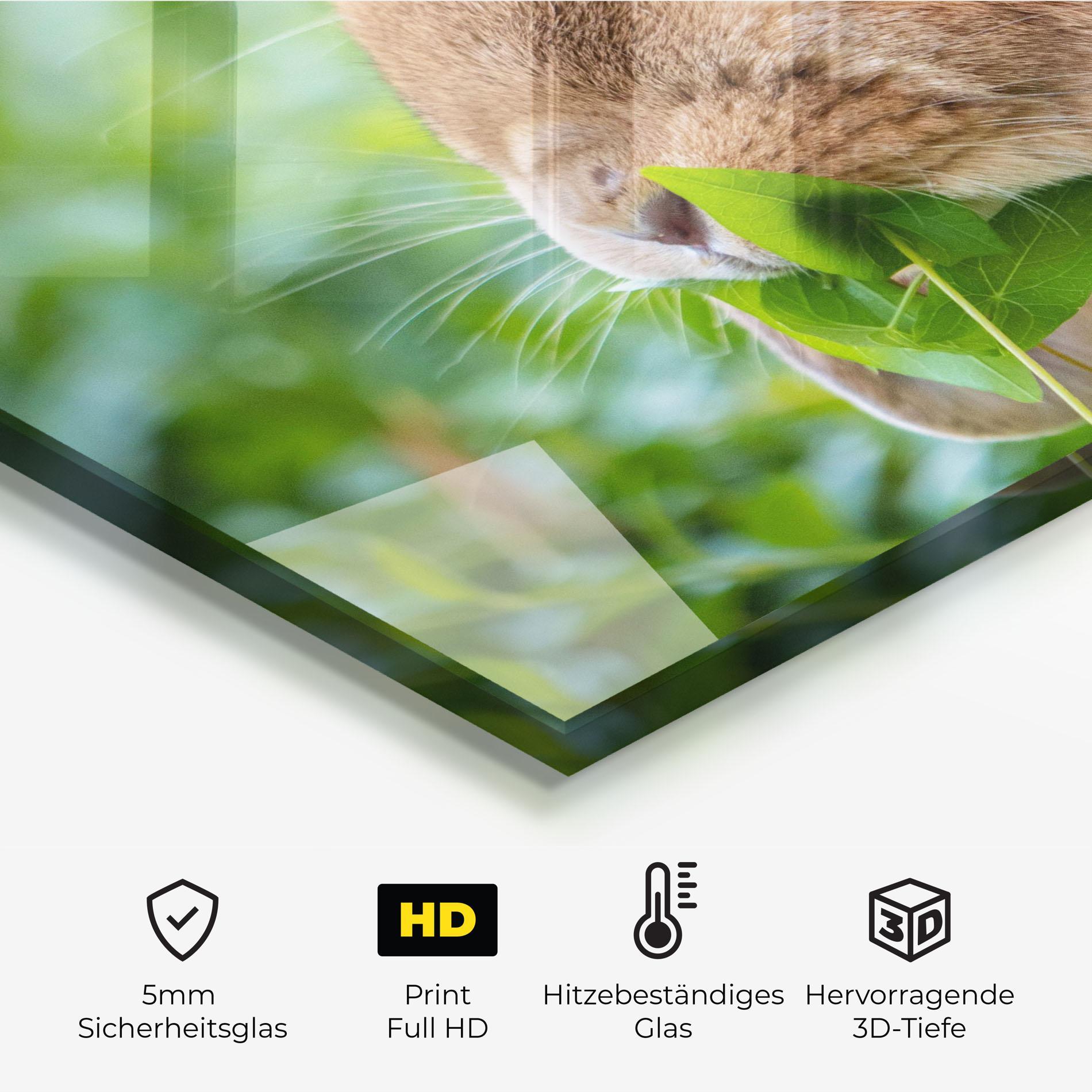 Küchenrückwand Glas Orange Bunny Eating mockup 2