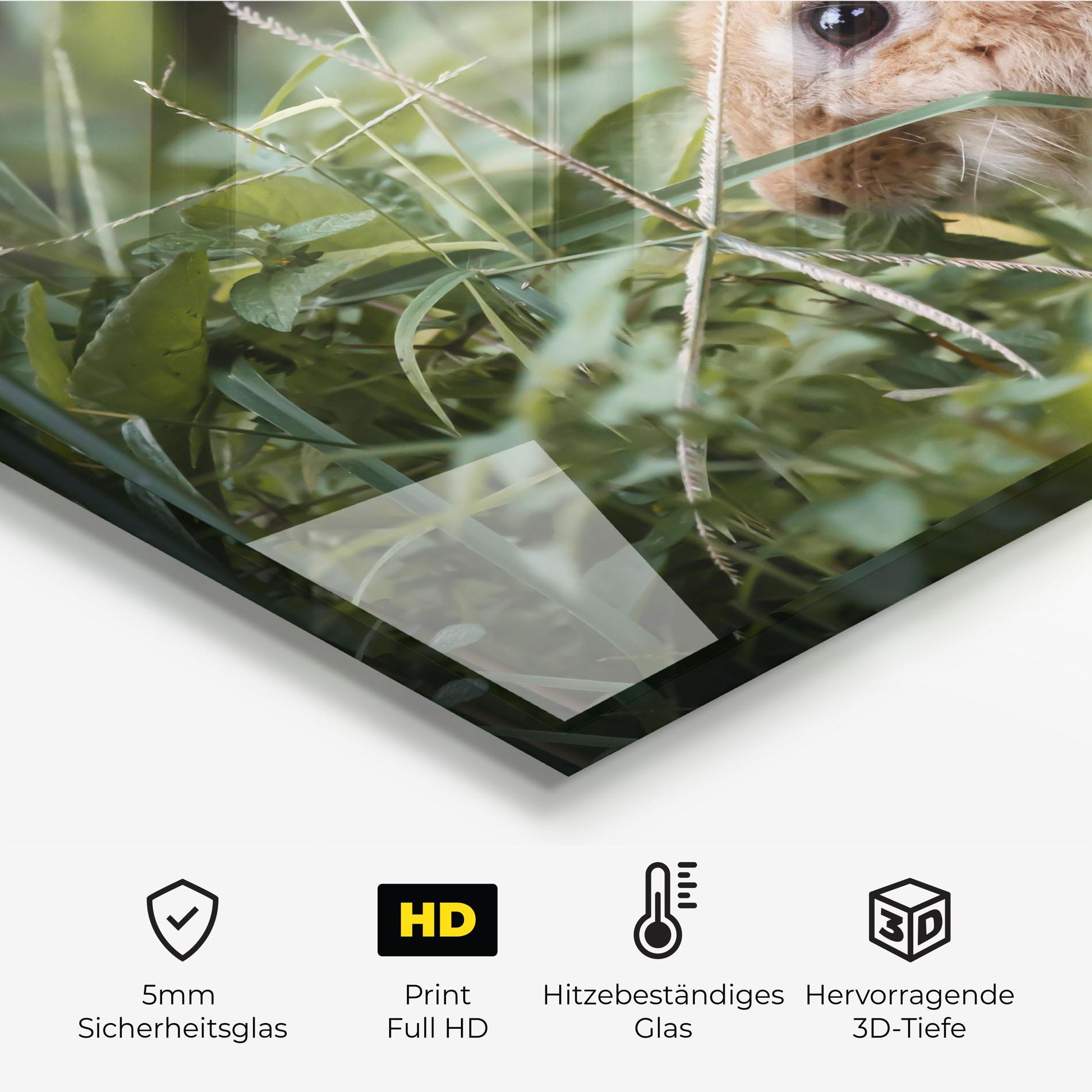 Küchenrückwand Glas Orange Bunny Hunting mockup 2