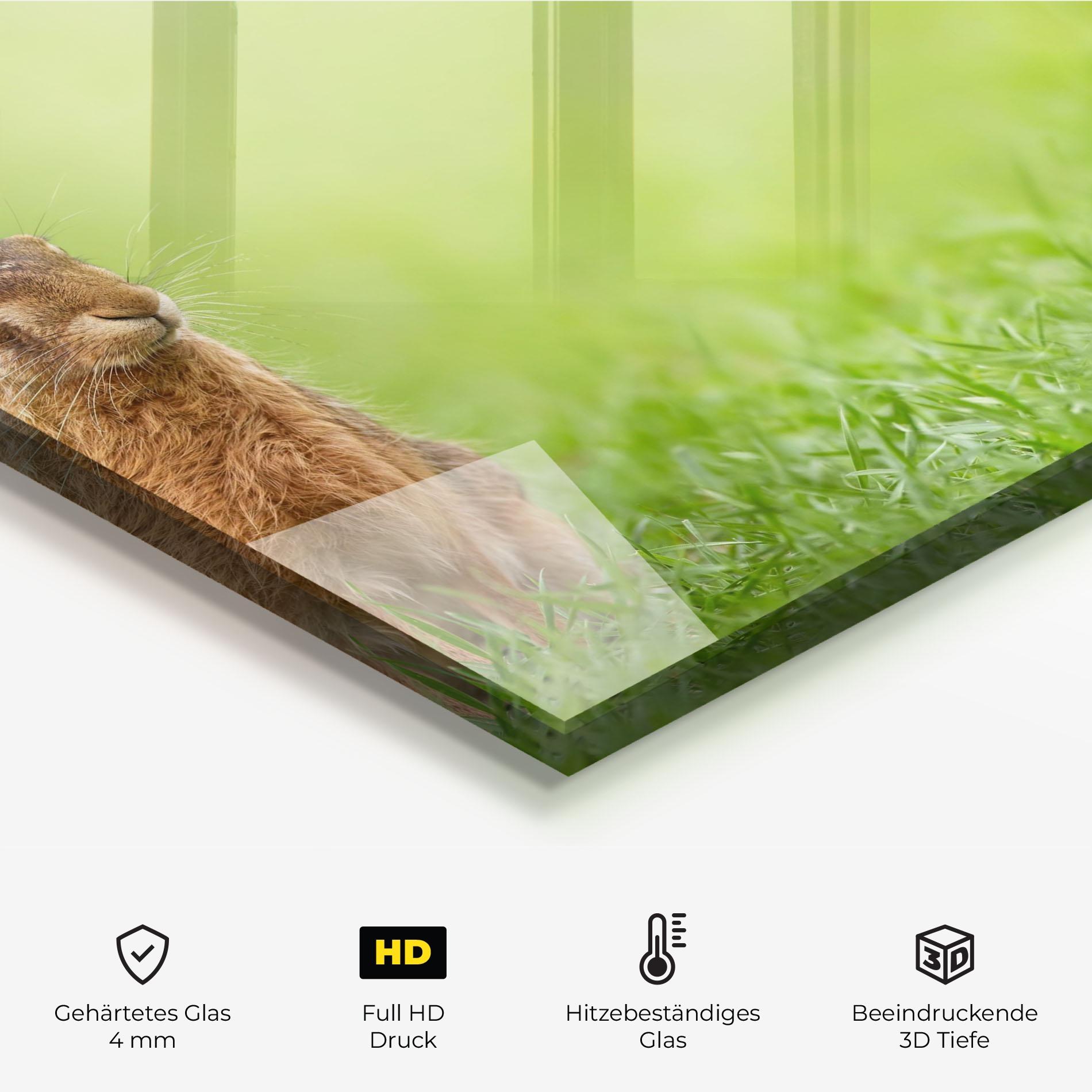 Küchenrückwand Glas Brown Hares mockup 2