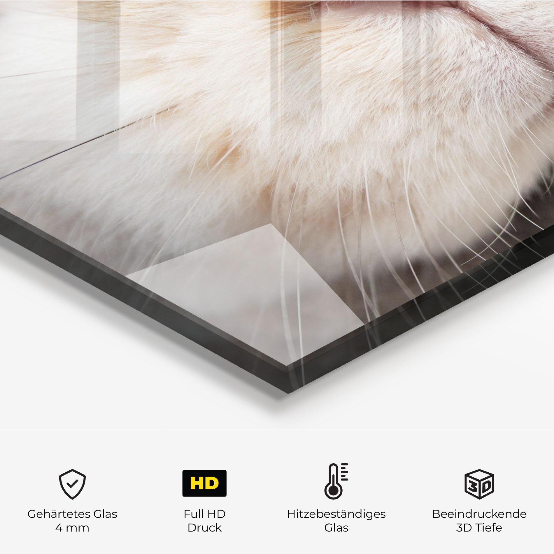 Küchenrückwand Glas Close Up Bunny mockup 2