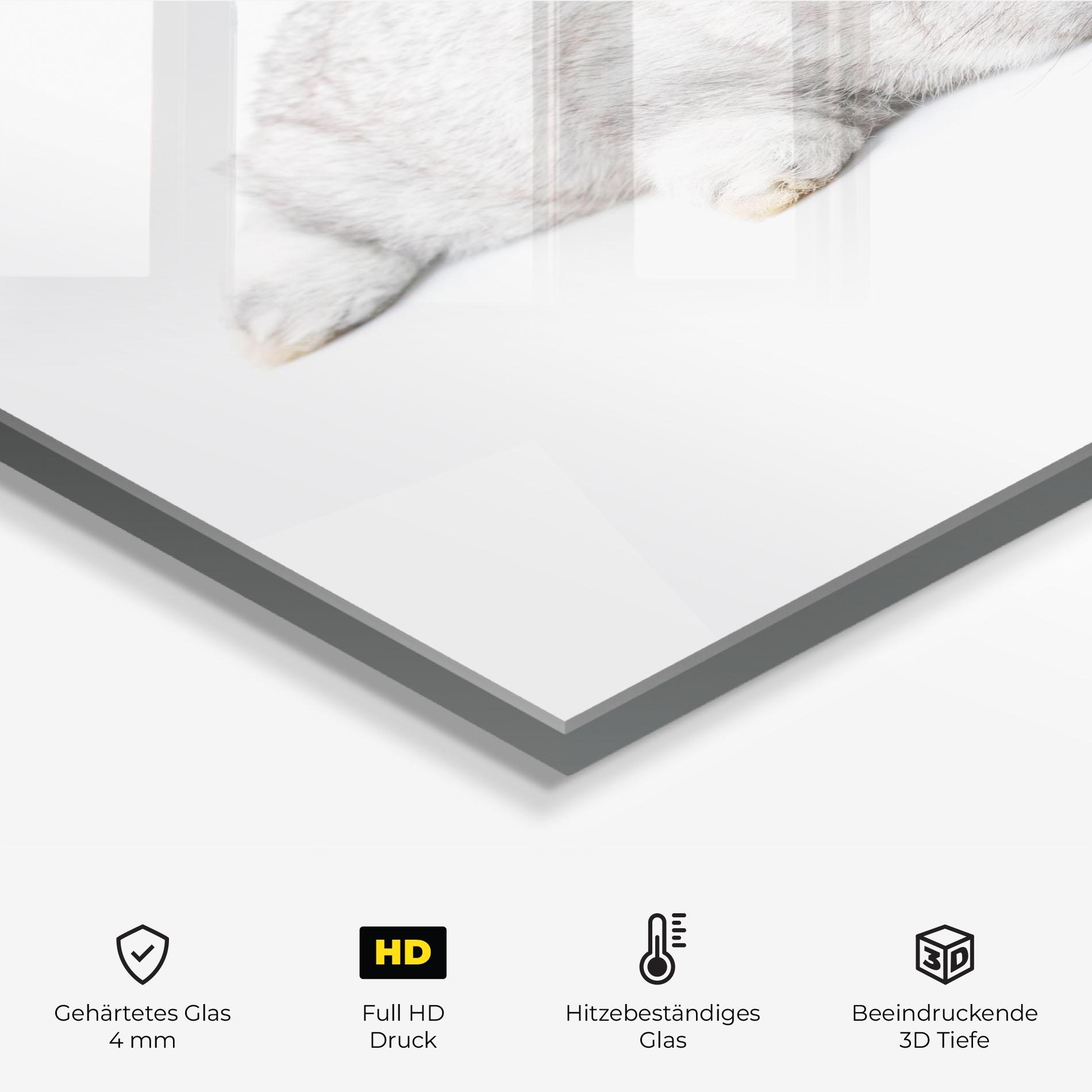 Küchenrückwand Glas Light Gray Bunny Sleeping mockup 2