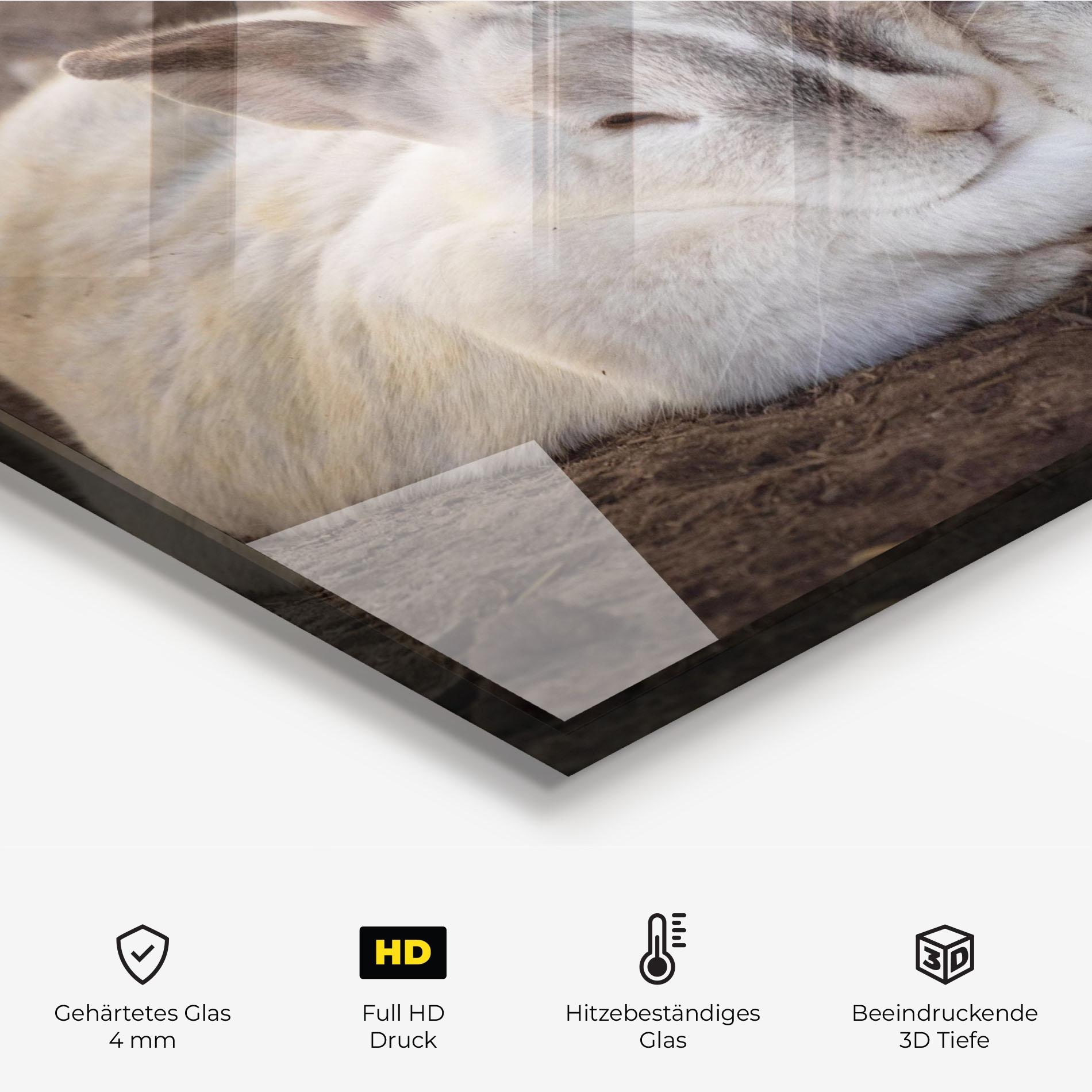 Küchenrückwand Glas Light Grey Bunny Sleeping mockup 2