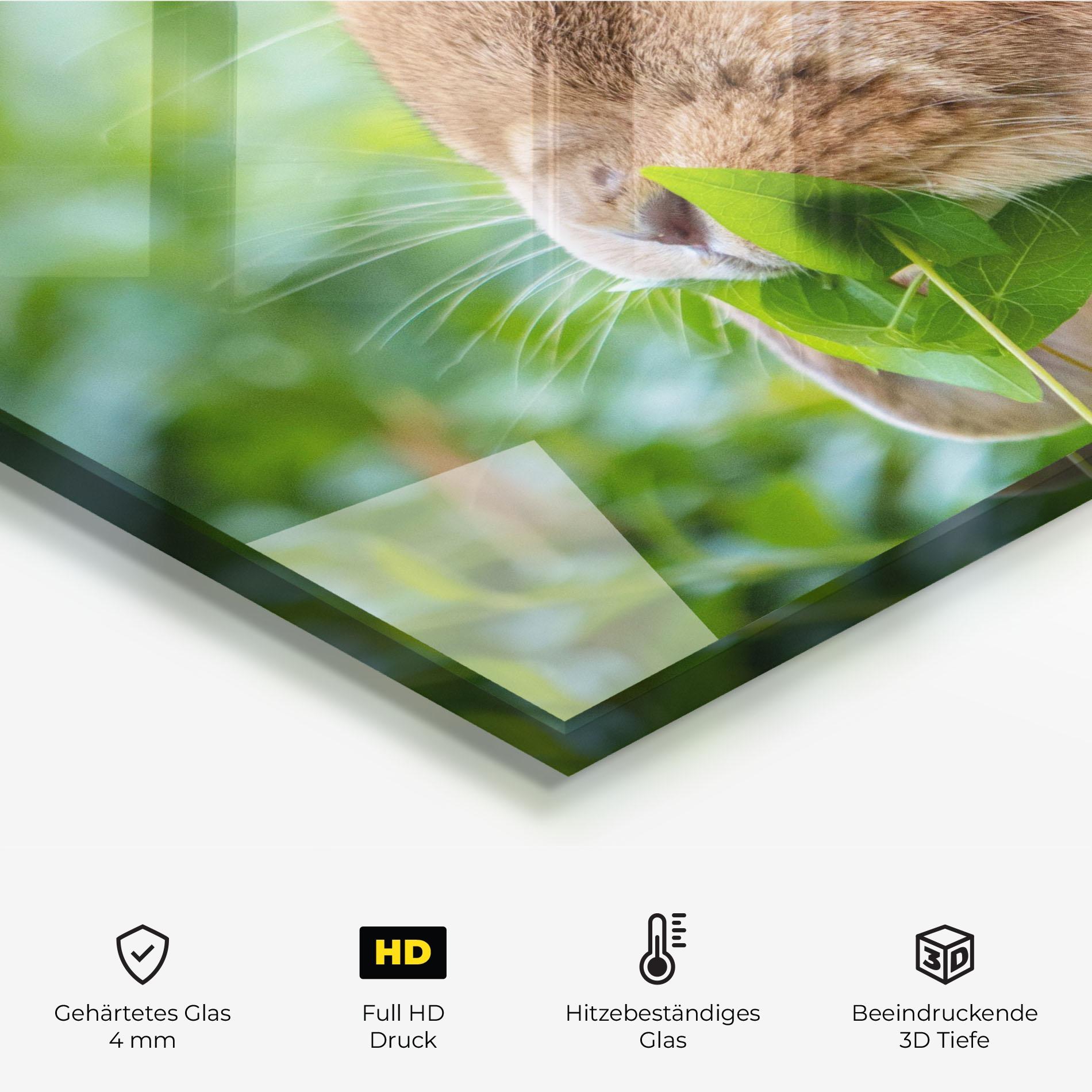 Küchenrückwand Glas Orange Bunny Eating mockup 2