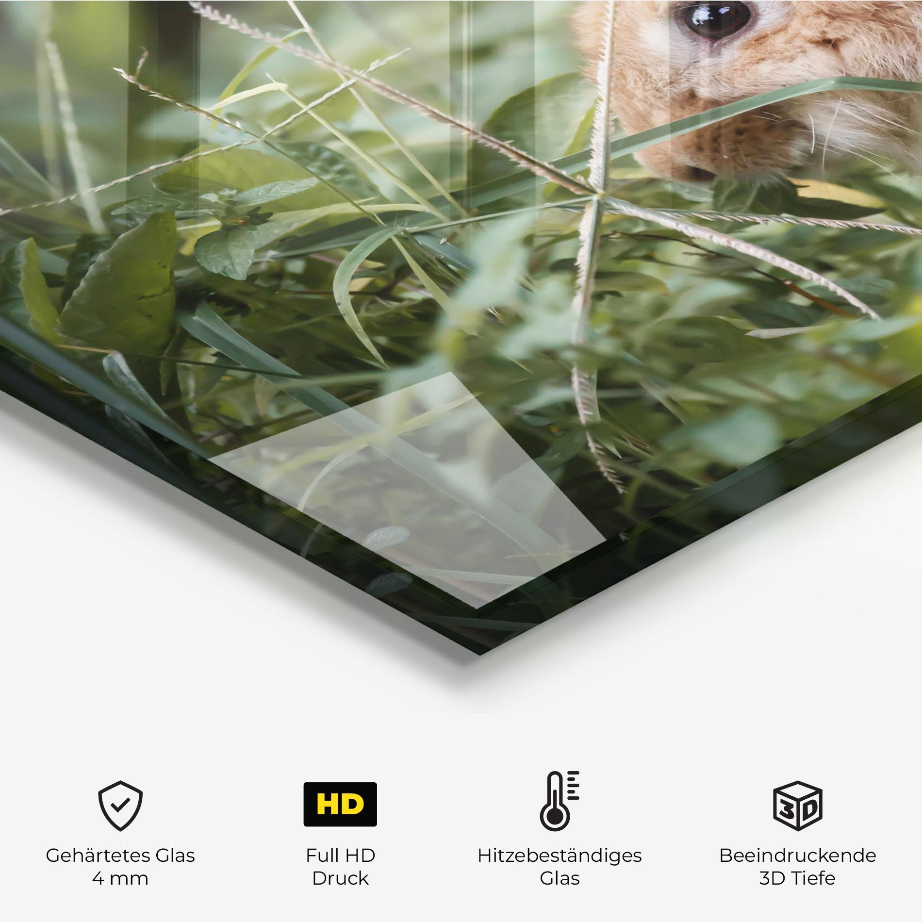 Küchenrückwand Glas Orange Bunny Hunting mockup 2