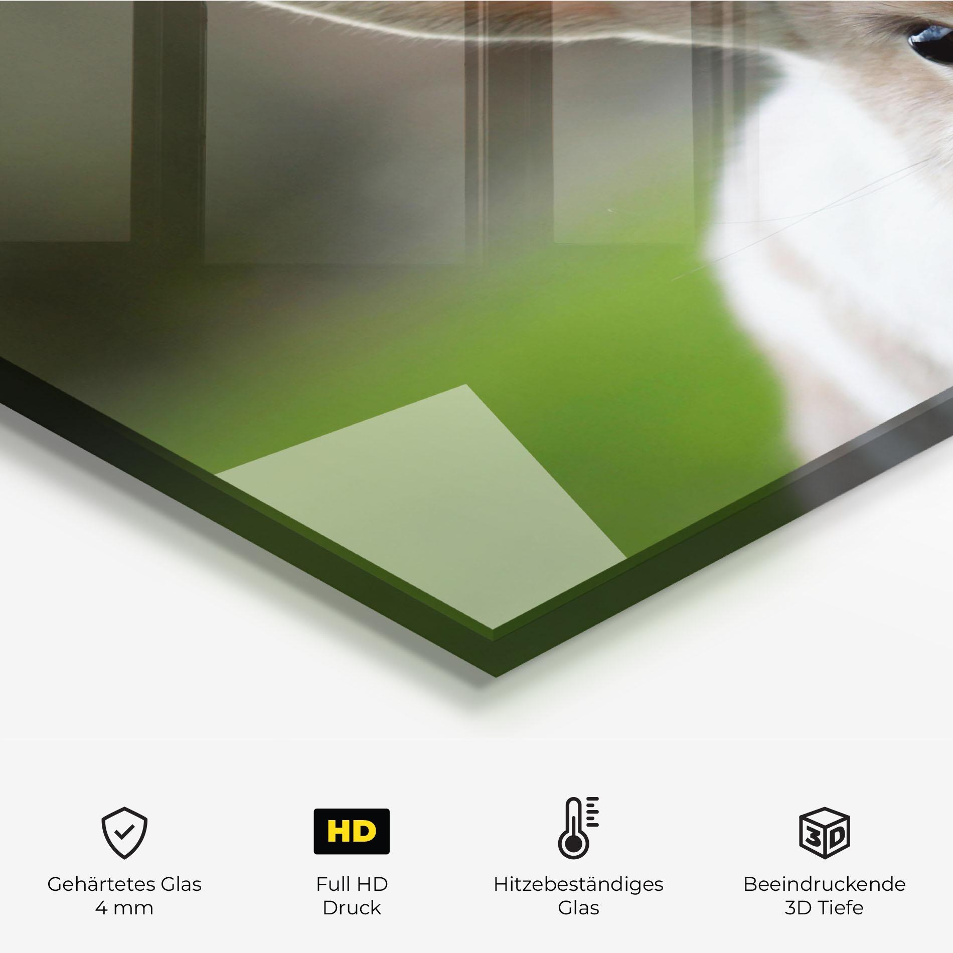 Küchenrückwand Glas Up Ear Bunny mockup 2