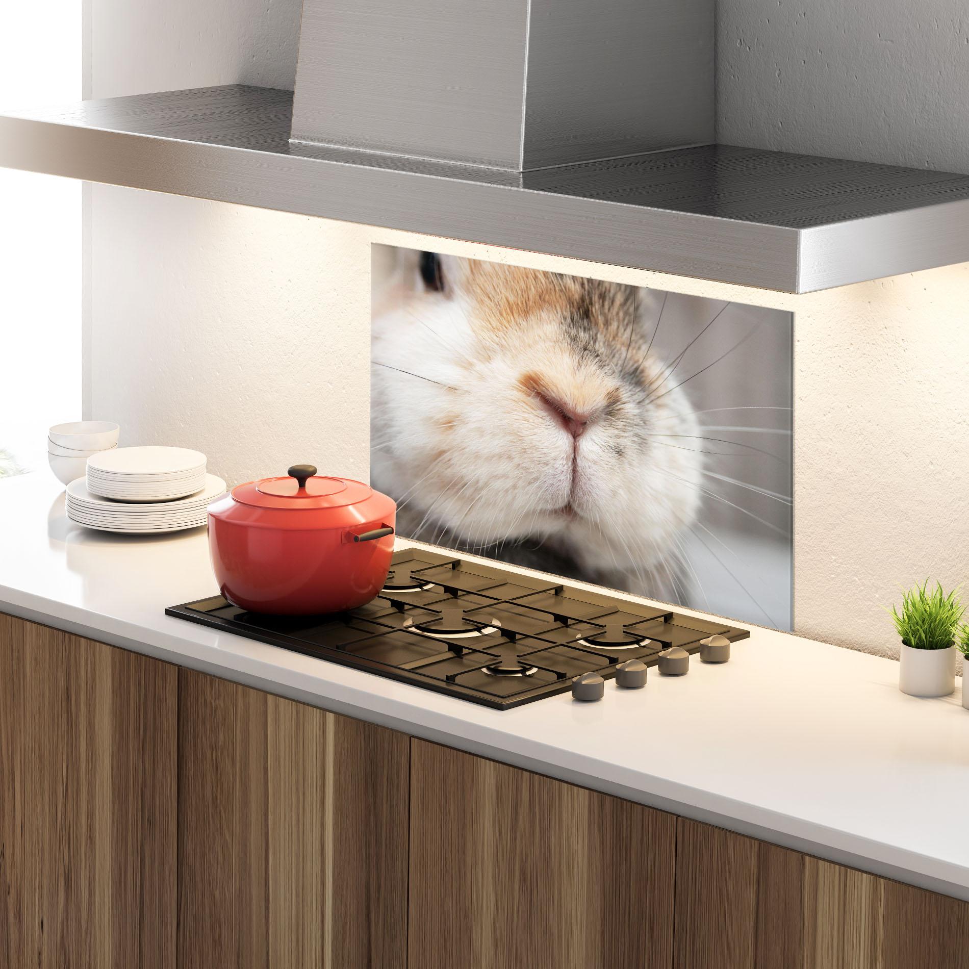 Küchenrückwand Glas Close Up Bunny mockup 4