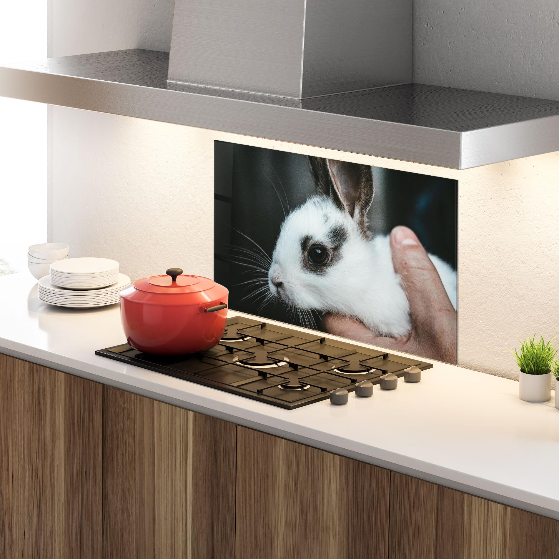 Küchenrückwand Glas Holding Cute Bunny mockup 4