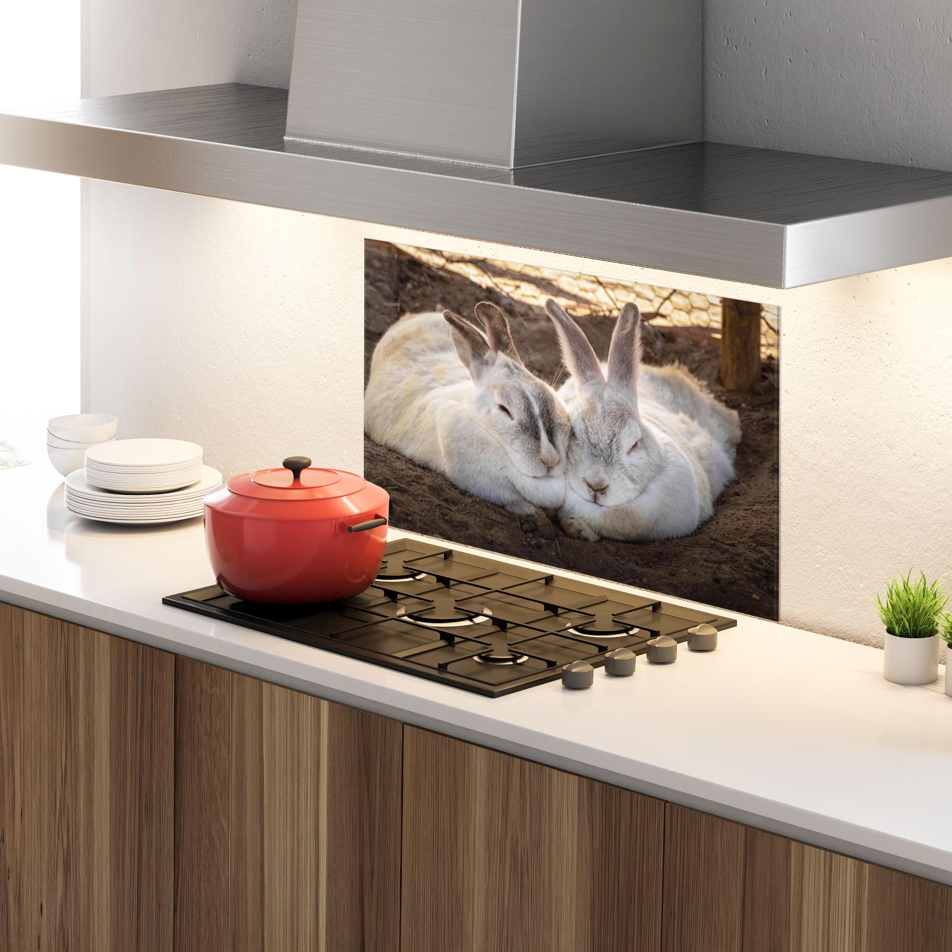 Küchenrückwand Glas Light Grey Bunny Sleeping mockup 4