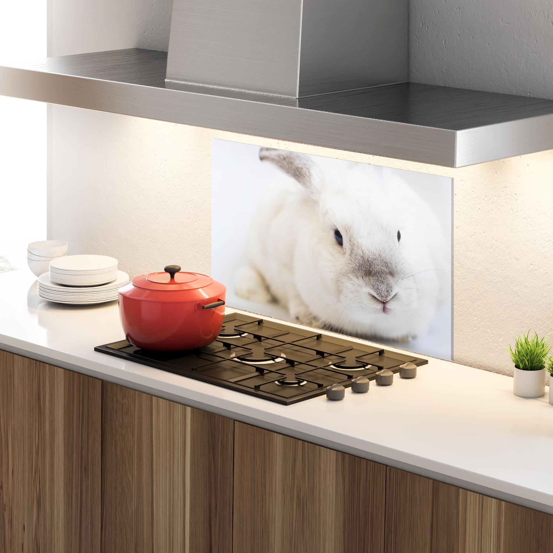 Küchenrückwand Glas Light Grey Bunny mockup 4
