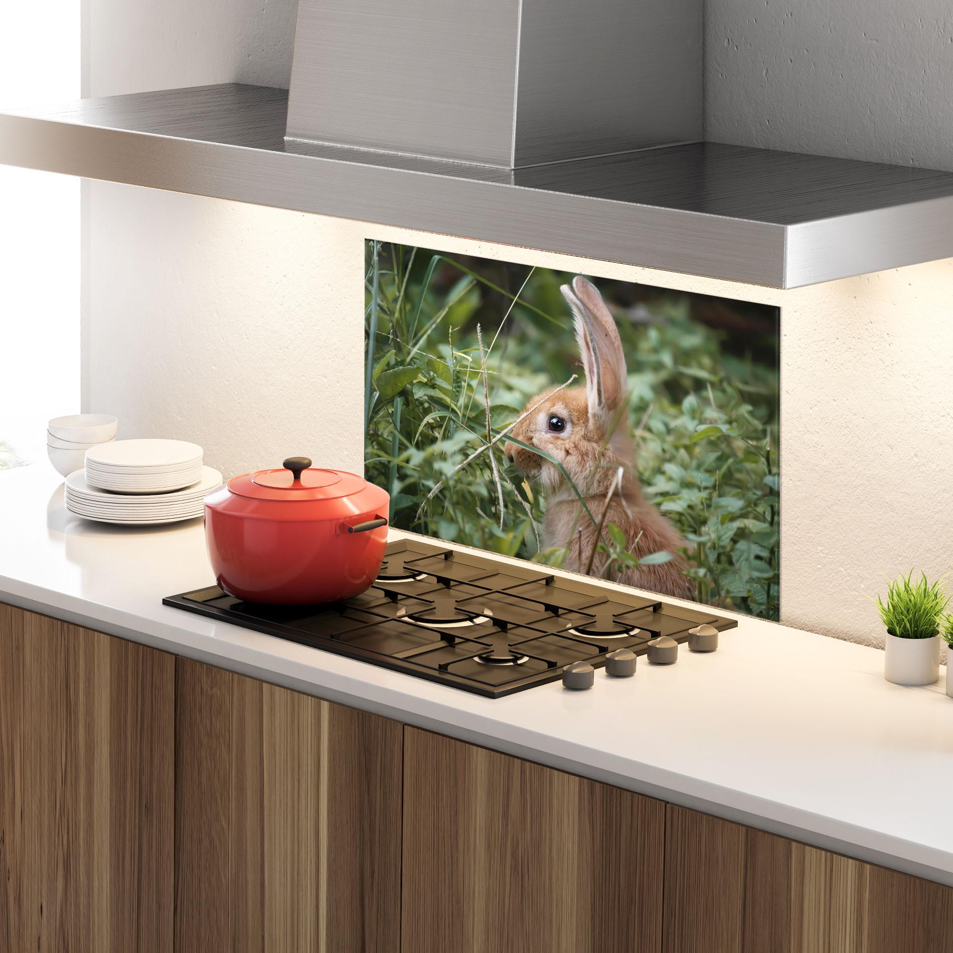 Küchenrückwand Glas Orange Bunny Hunting mockup 4