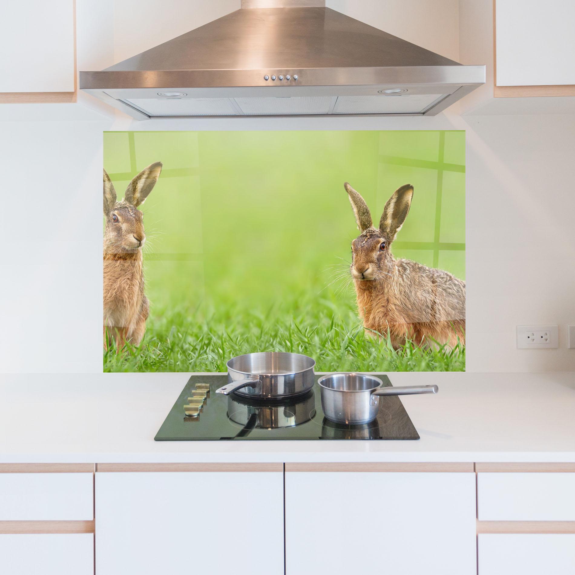 Küchenrückwand Glas Brown Hares mockup 5