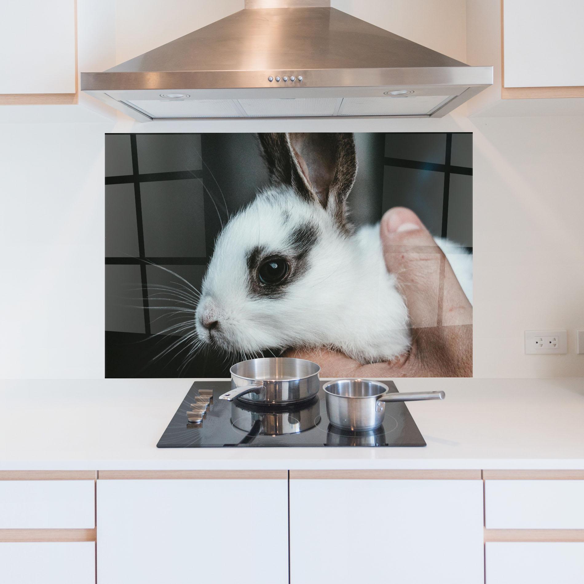 Küchenrückwand Glas Holding Cute Bunny mockup 5