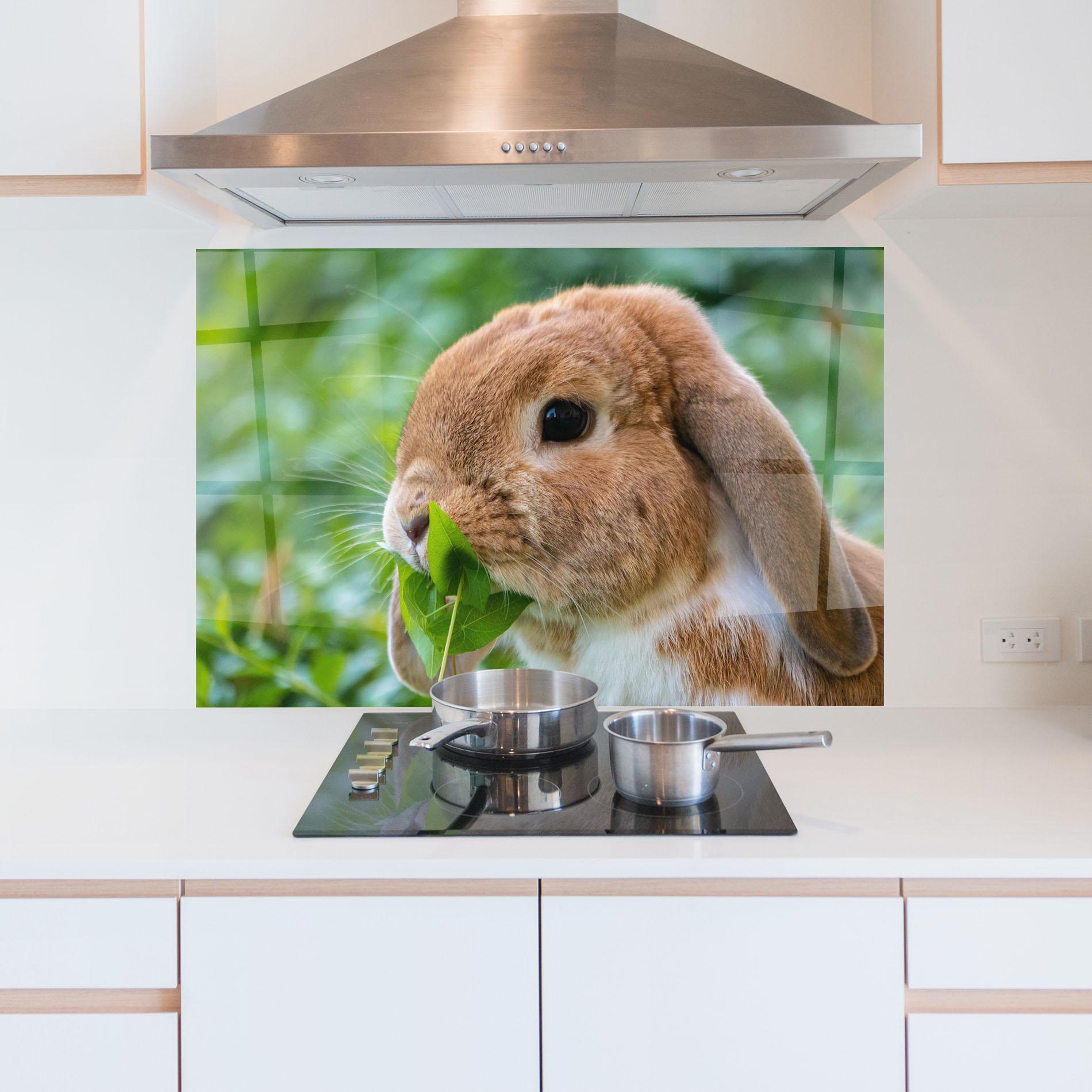Küchenrückwand Glas Orange Bunny Eating mockup 5