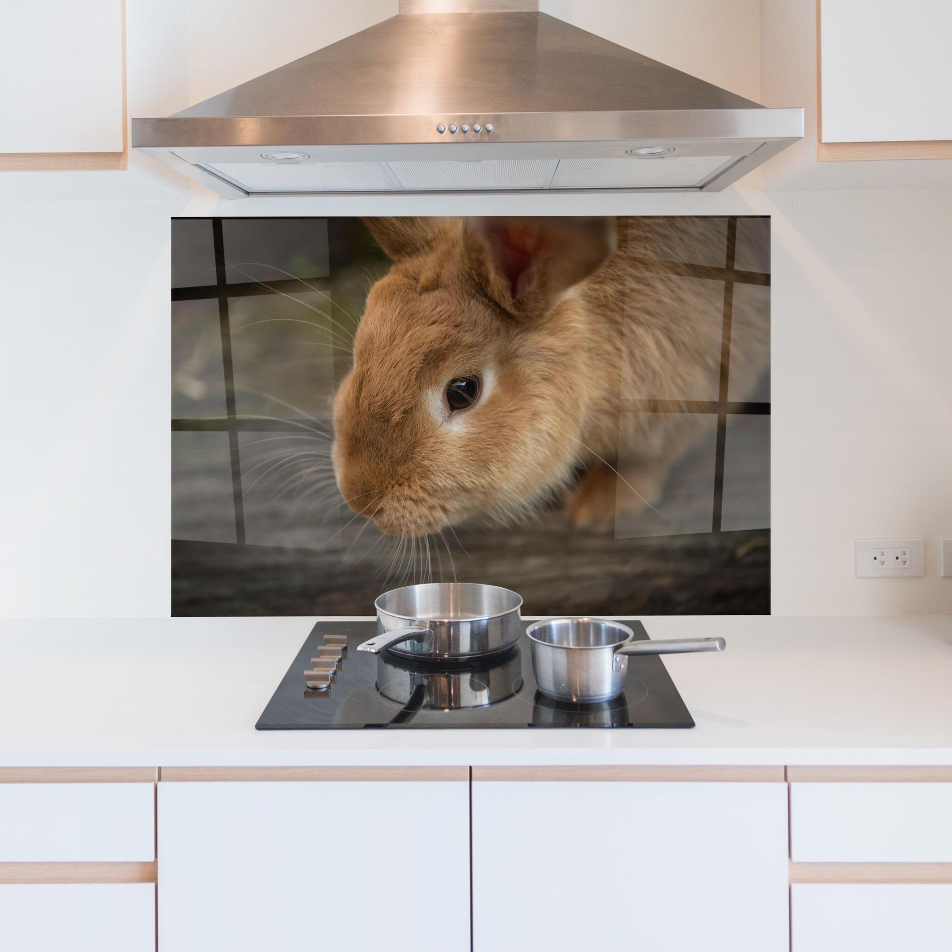Küchenrückwand Glas Orange Bunny Looking mockup 5