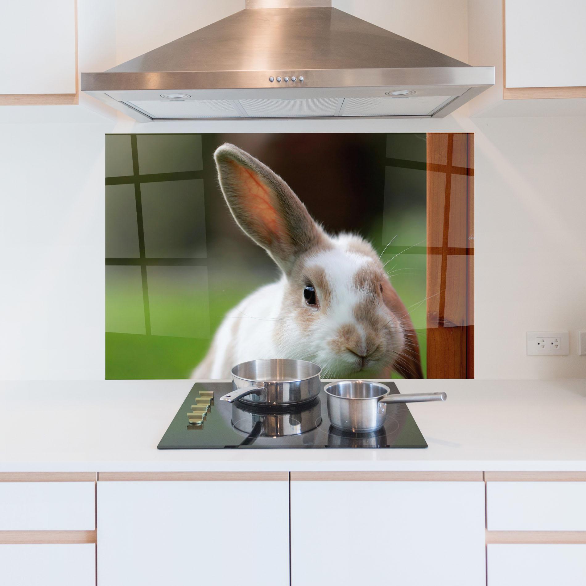 Küchenrückwand Glas Up Ear Bunny mockup 5