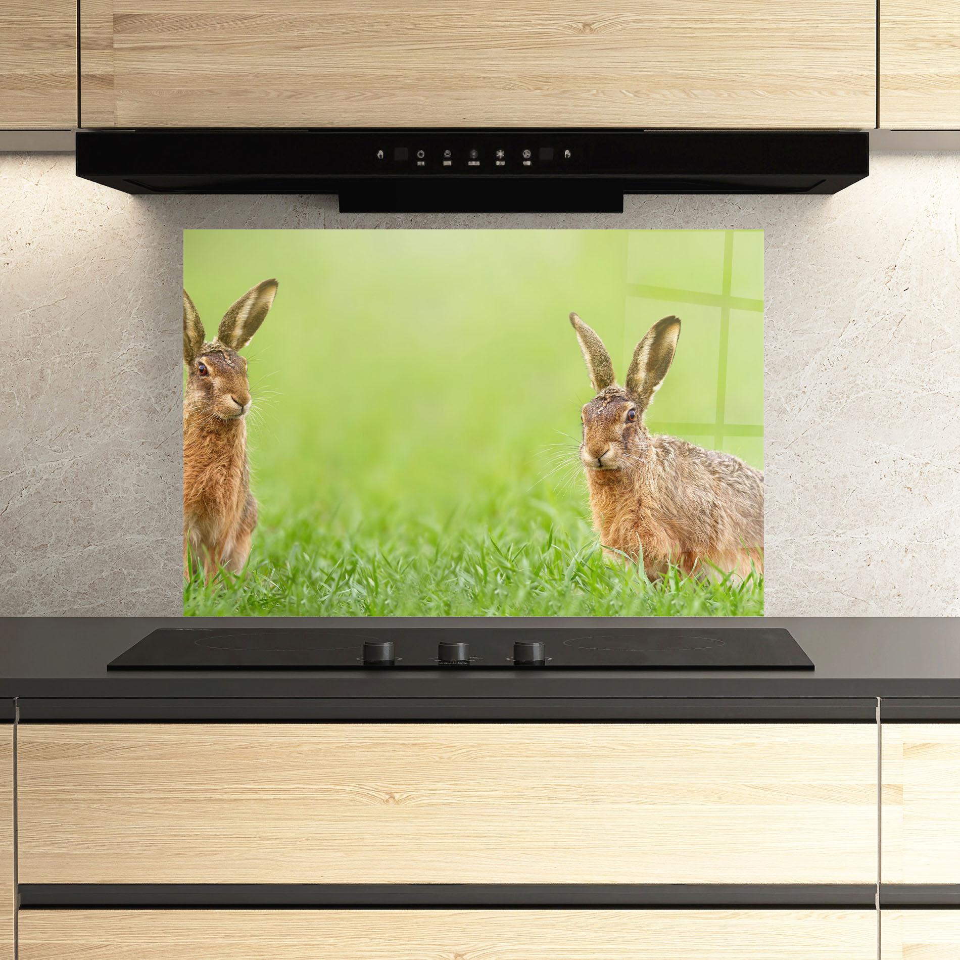 Küchenrückwand Glas Brown Hares mockup 3
