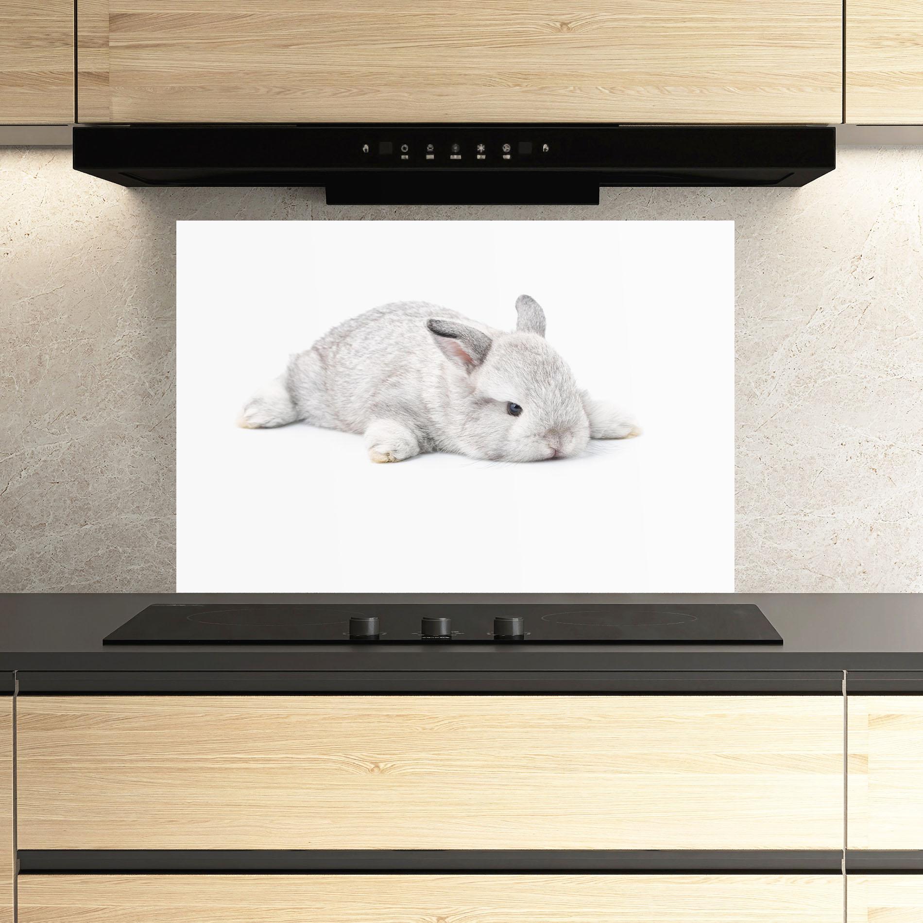 Küchenrückwand Glas Light Gray Bunny Sleeping mockup 3