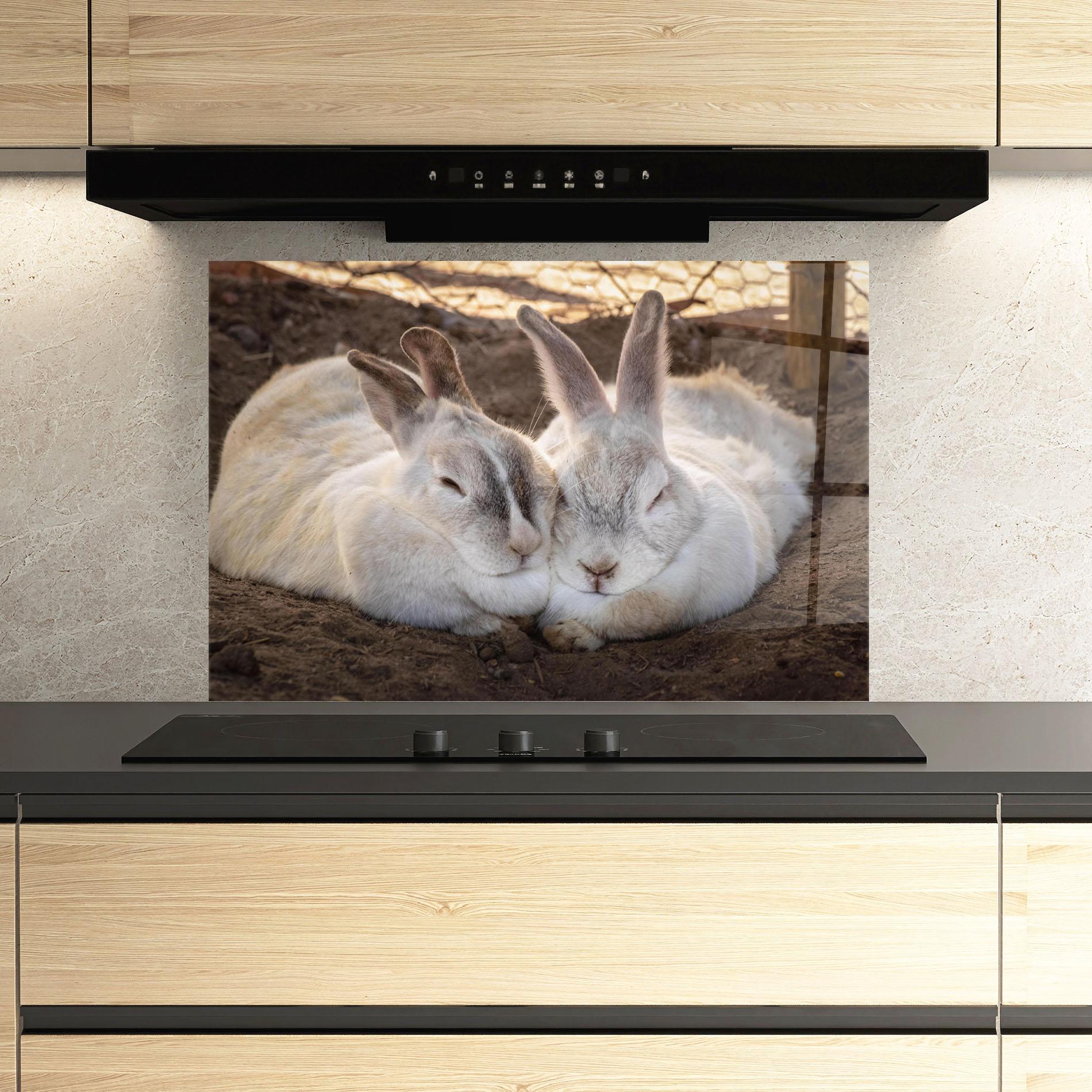 Küchenrückwand Glas Light Grey Bunny Sleeping mockup 3