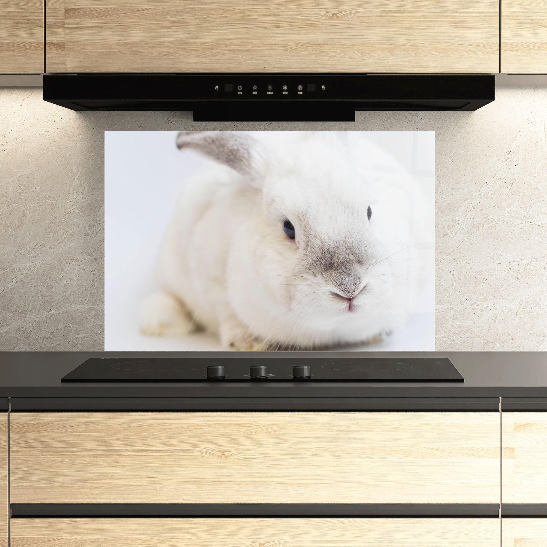 Küchenrückwand Glas Light Grey Bunny mockup 3