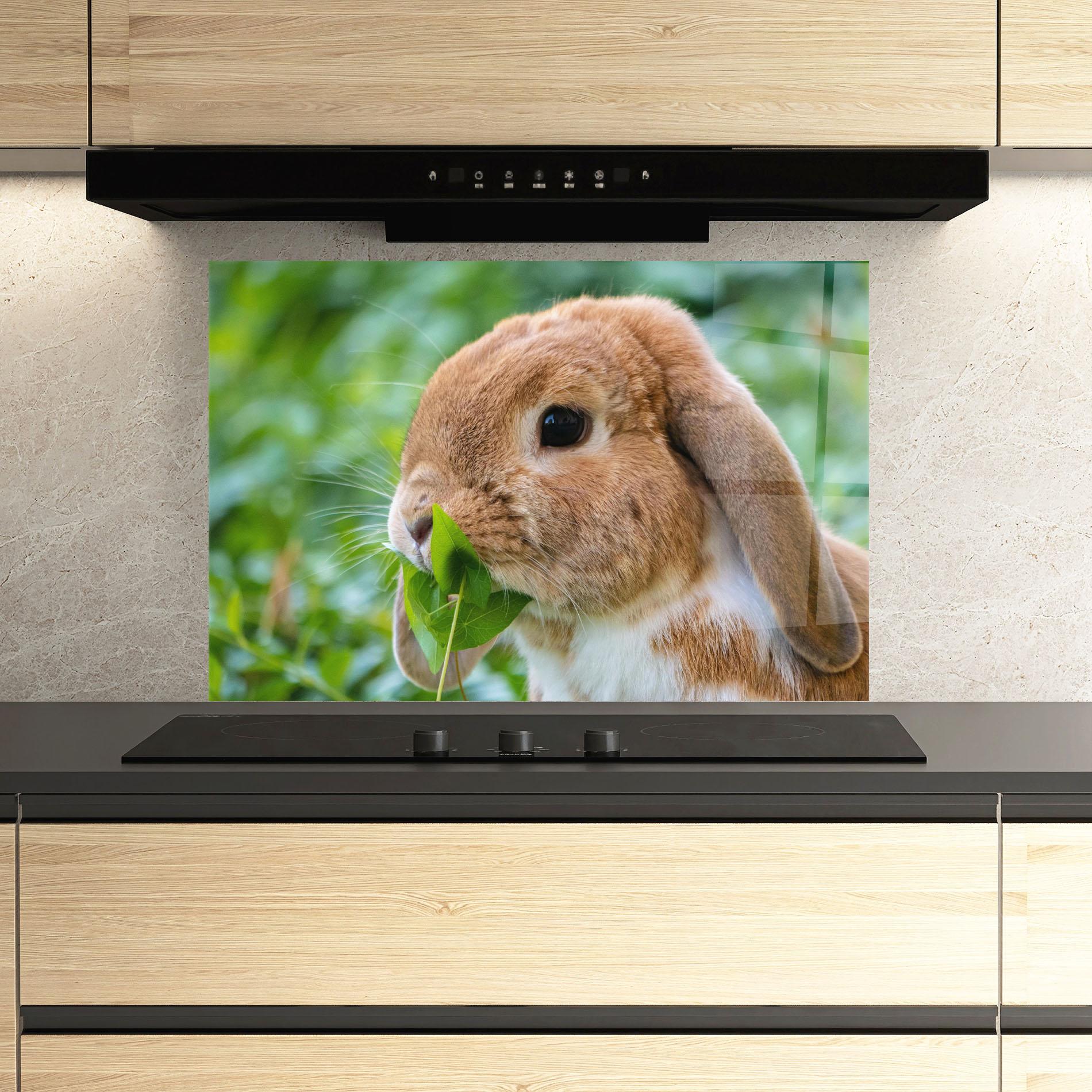 Küchenrückwand Glas Orange Bunny Eating mockup 3