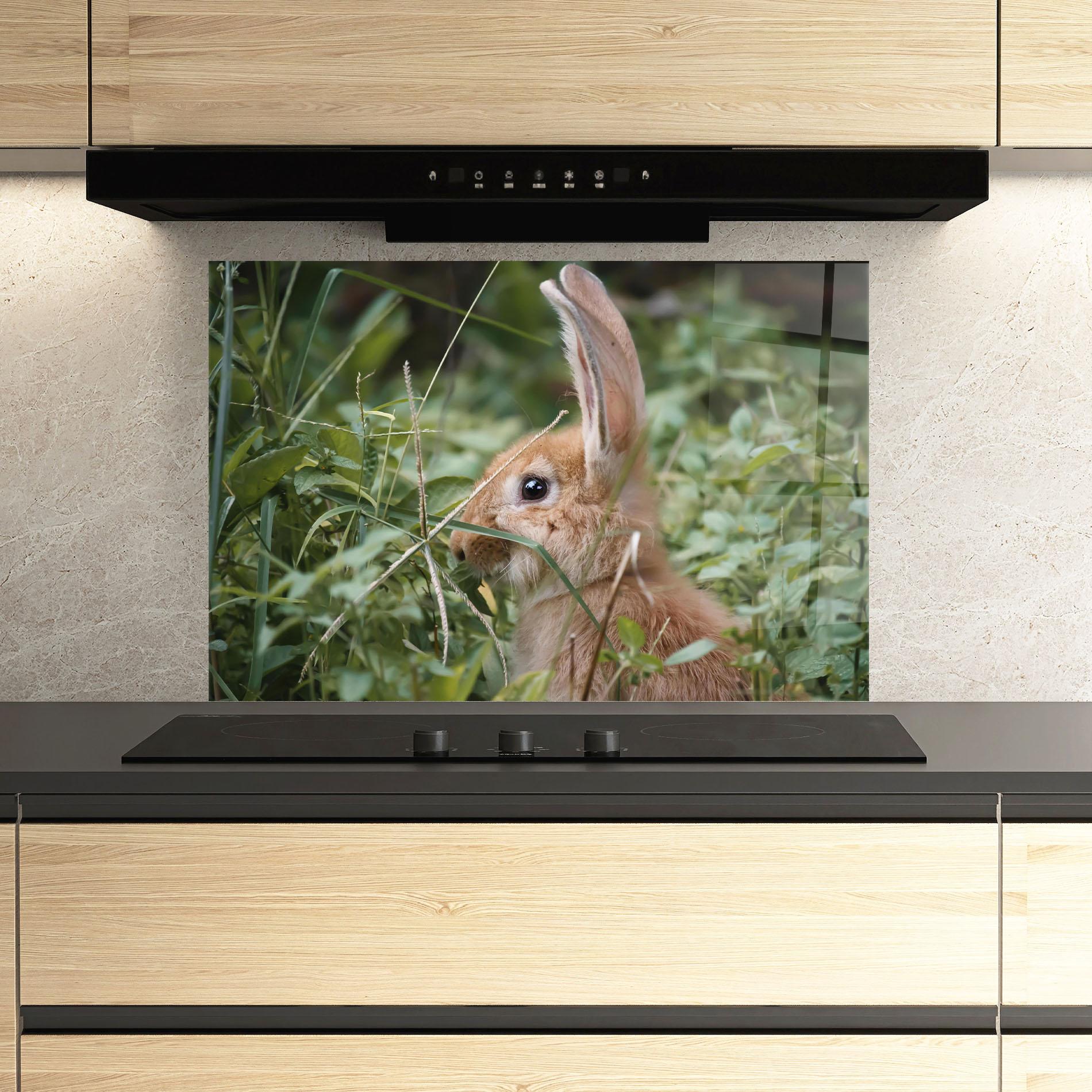Küchenrückwand Glas Orange Bunny Hunting mockup 3