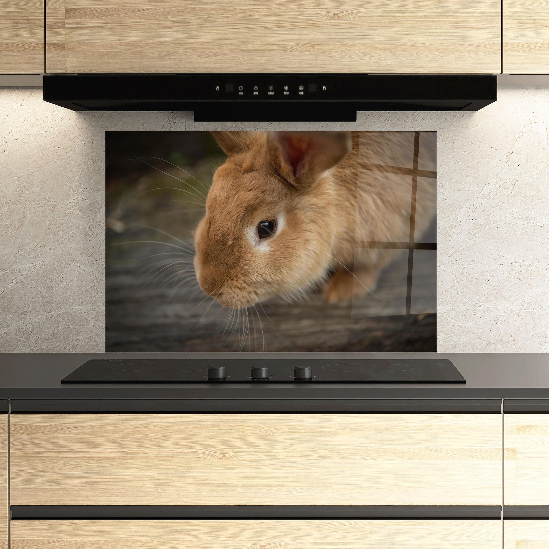 Küchenrückwand Glas Orange Bunny Looking mockup 3