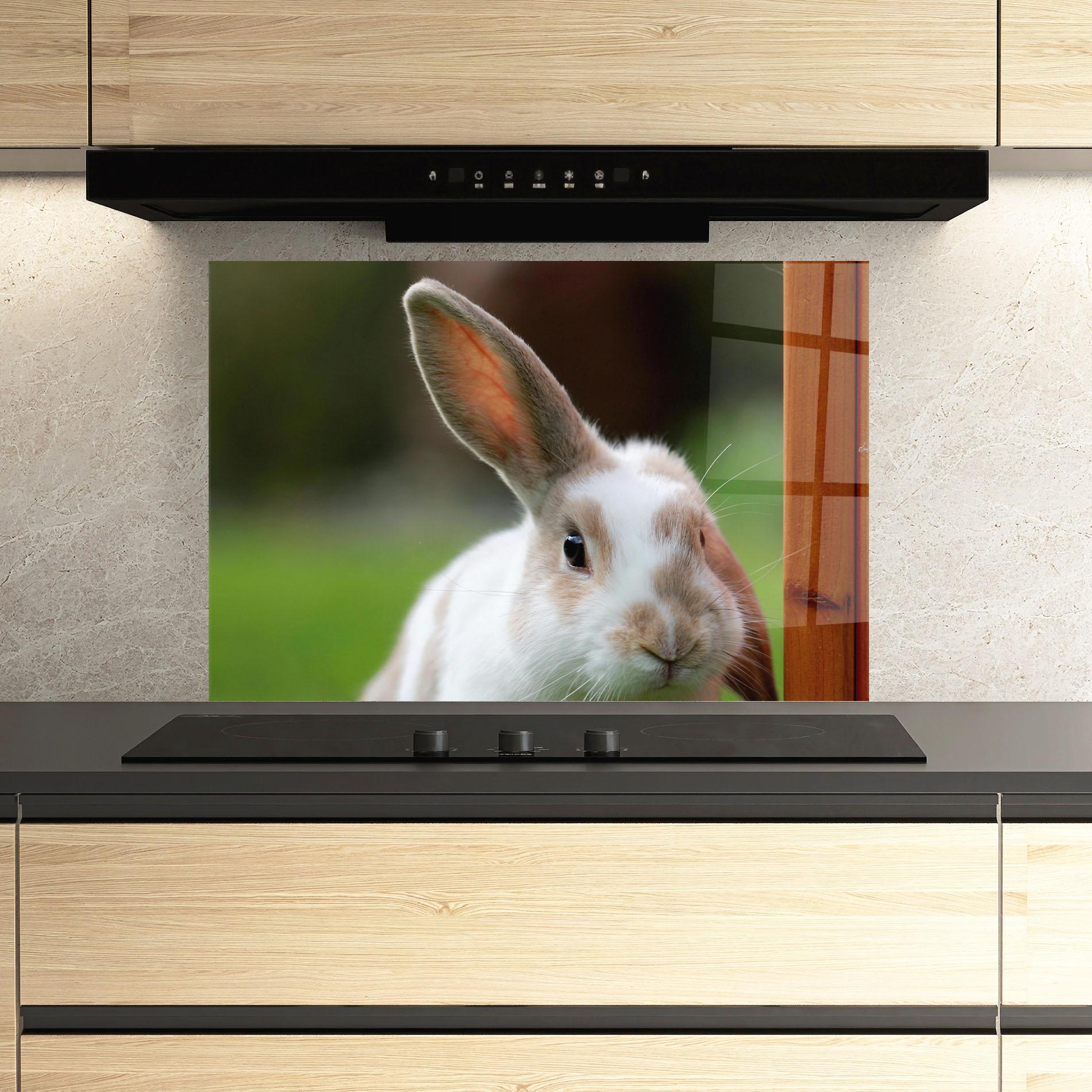 Küchenrückwand Glas Up Ear Bunny mockup 3