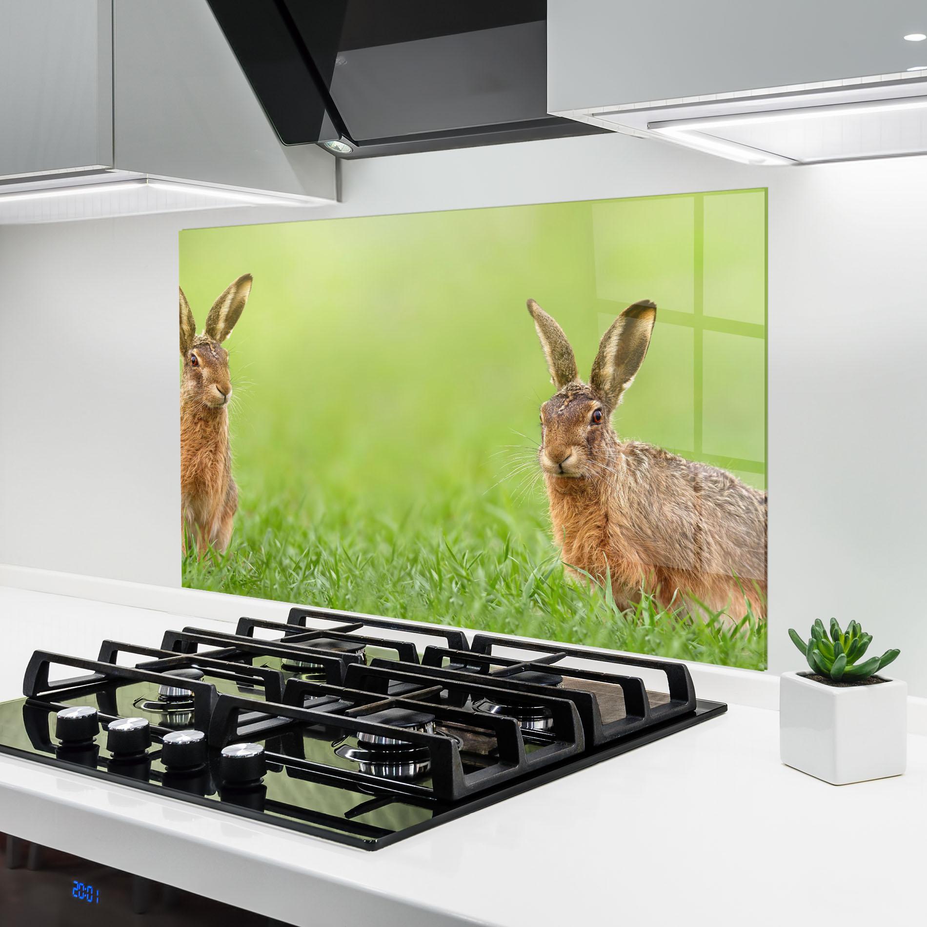 Küchenrückwand Glas Brown Hares mockup 6