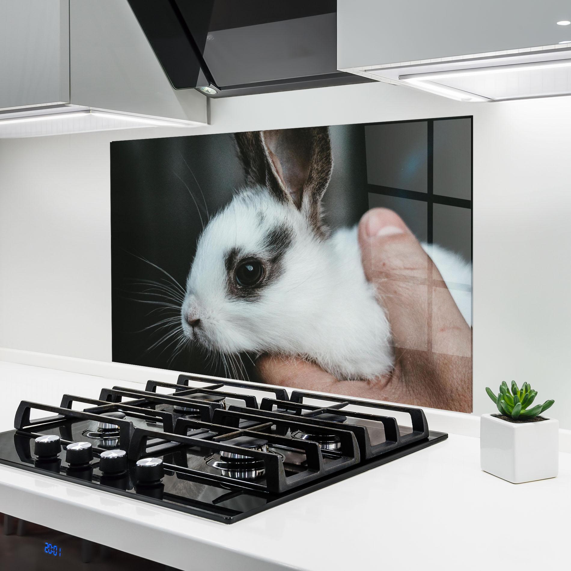 Küchenrückwand Glas Holding Cute Bunny mockup 6
