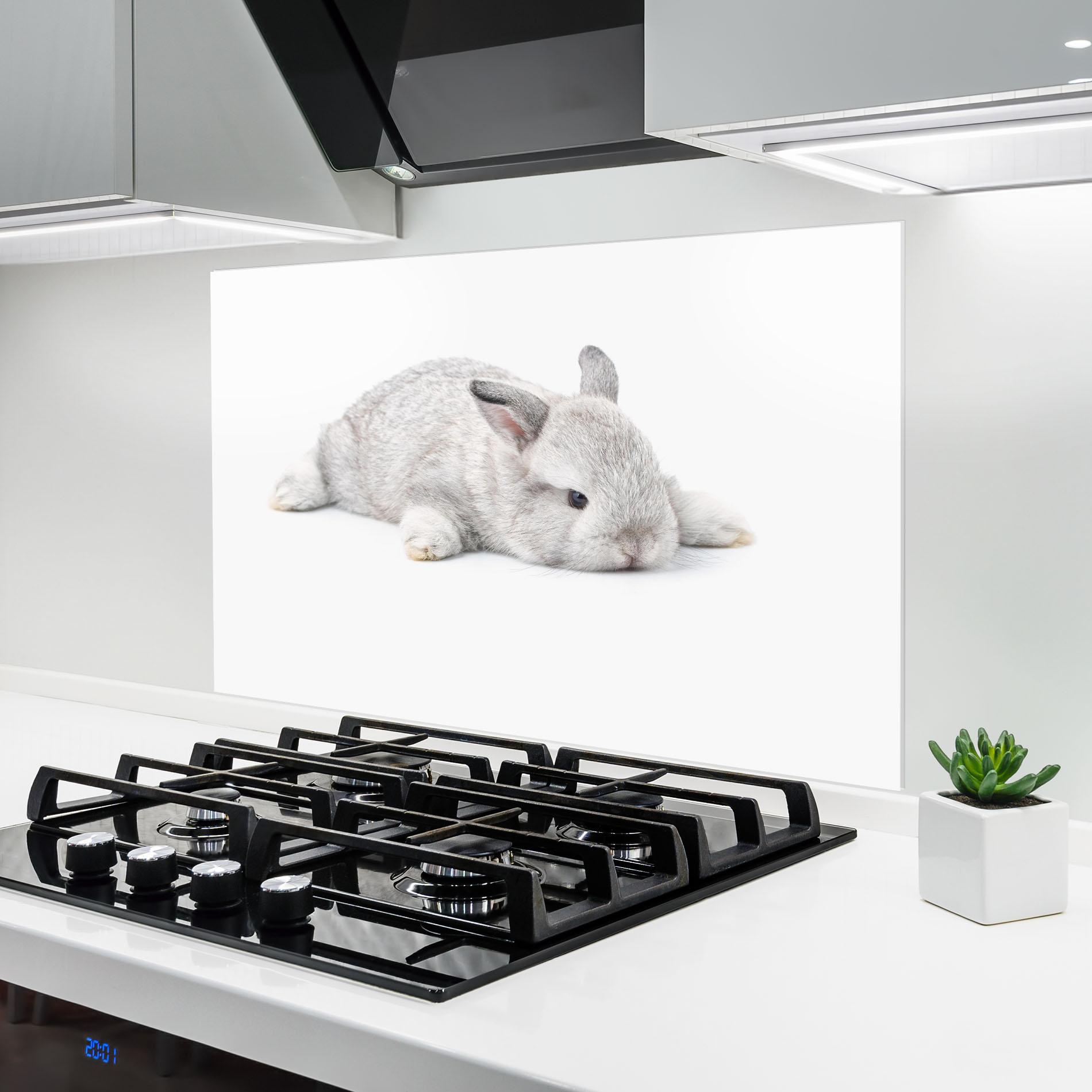Küchenrückwand Glas Light Gray Bunny Sleeping mockup 6