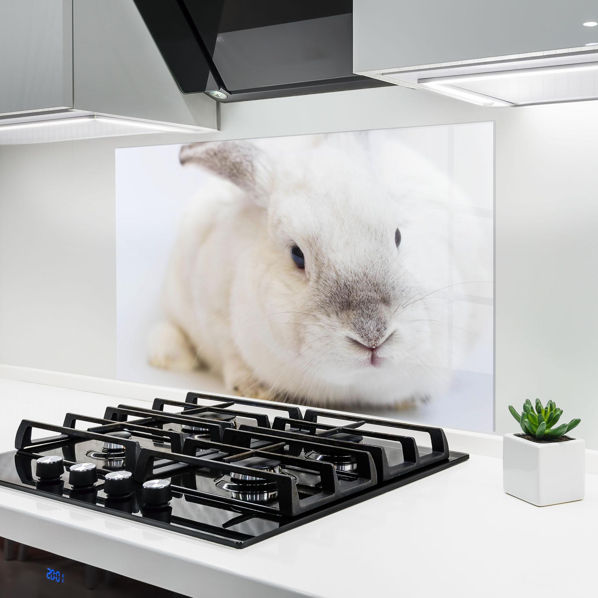 Küchenrückwand Glas Light Grey Bunny mockup 6