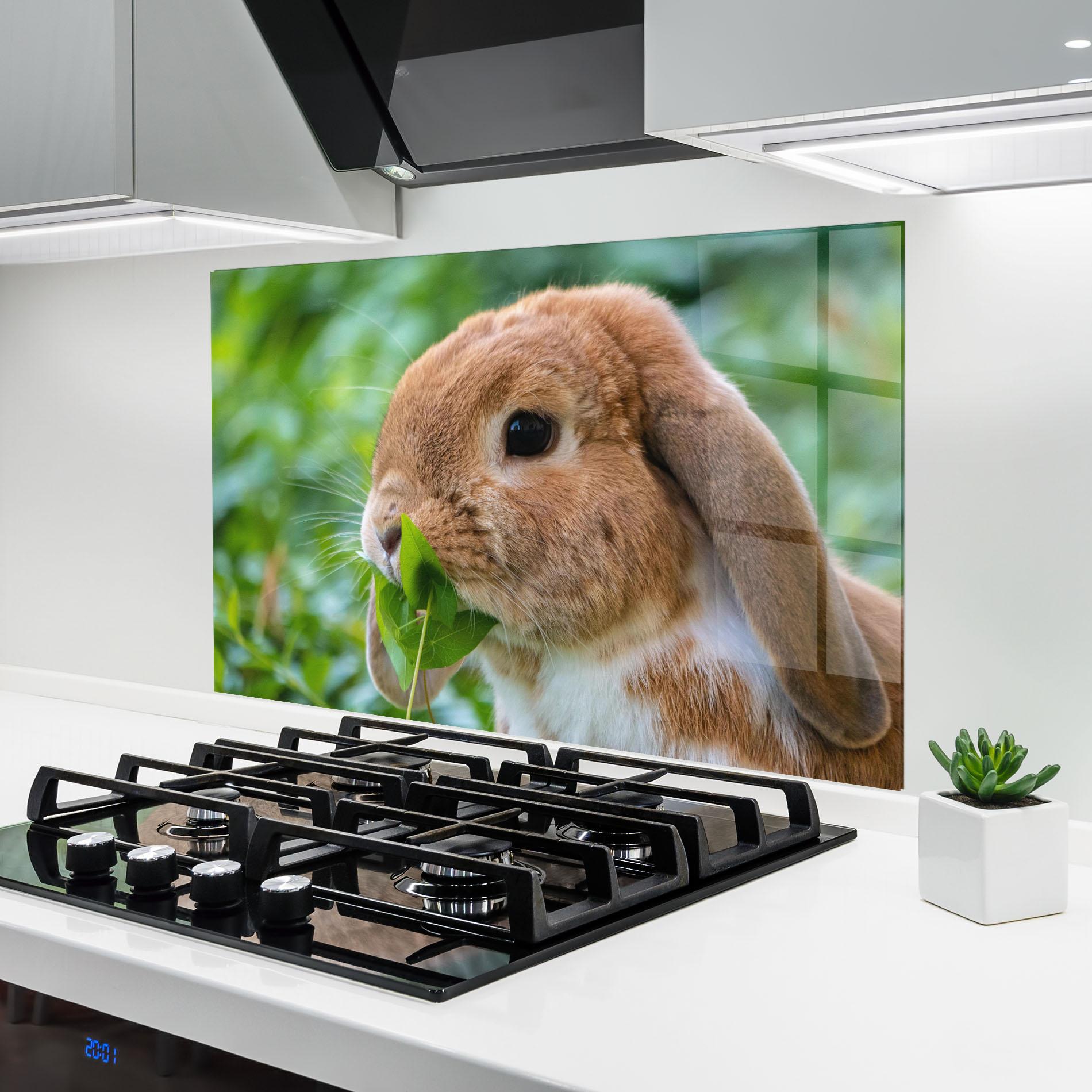 Küchenrückwand Glas Orange Bunny Eating mockup 6