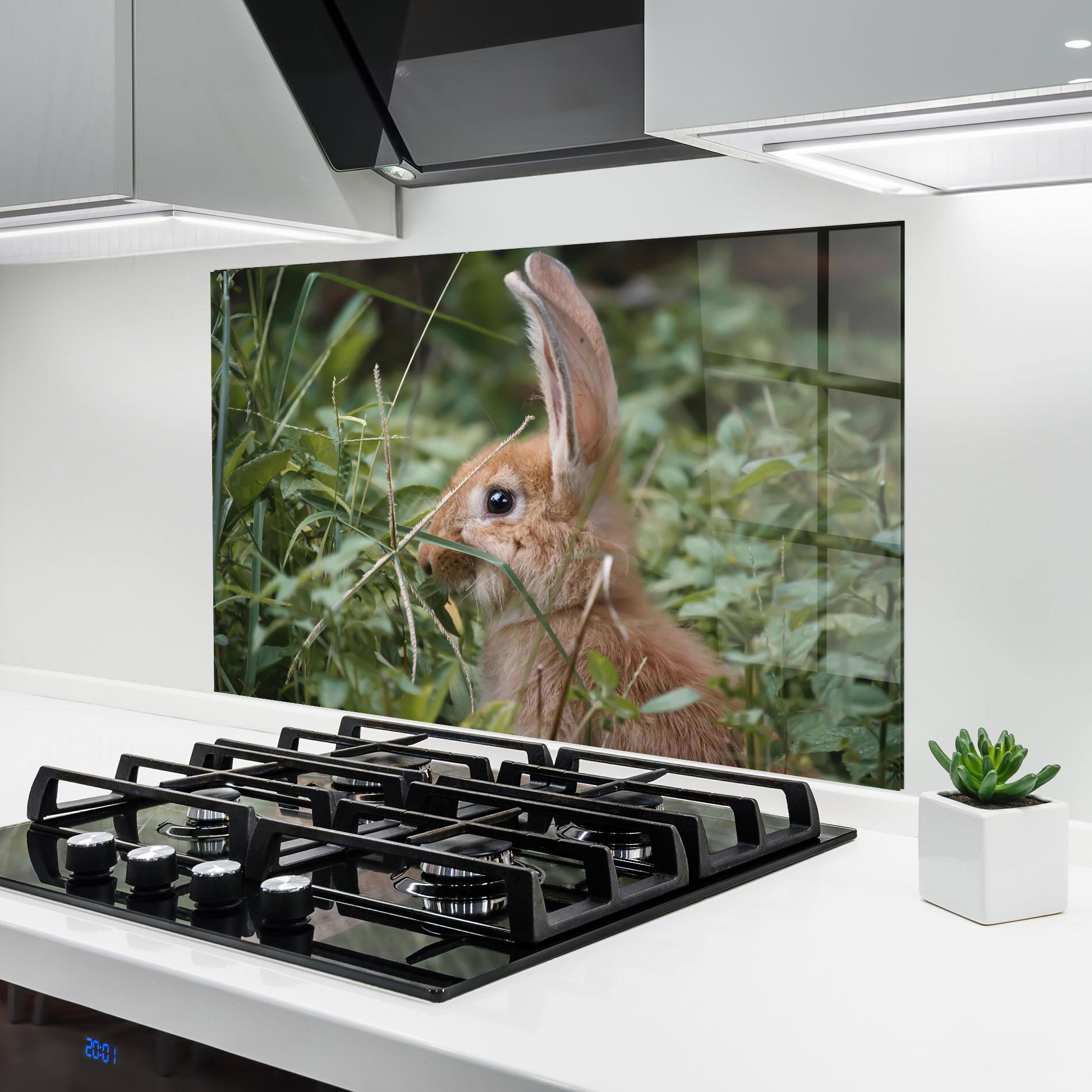 Küchenrückwand Glas Orange Bunny Hunting mockup 6